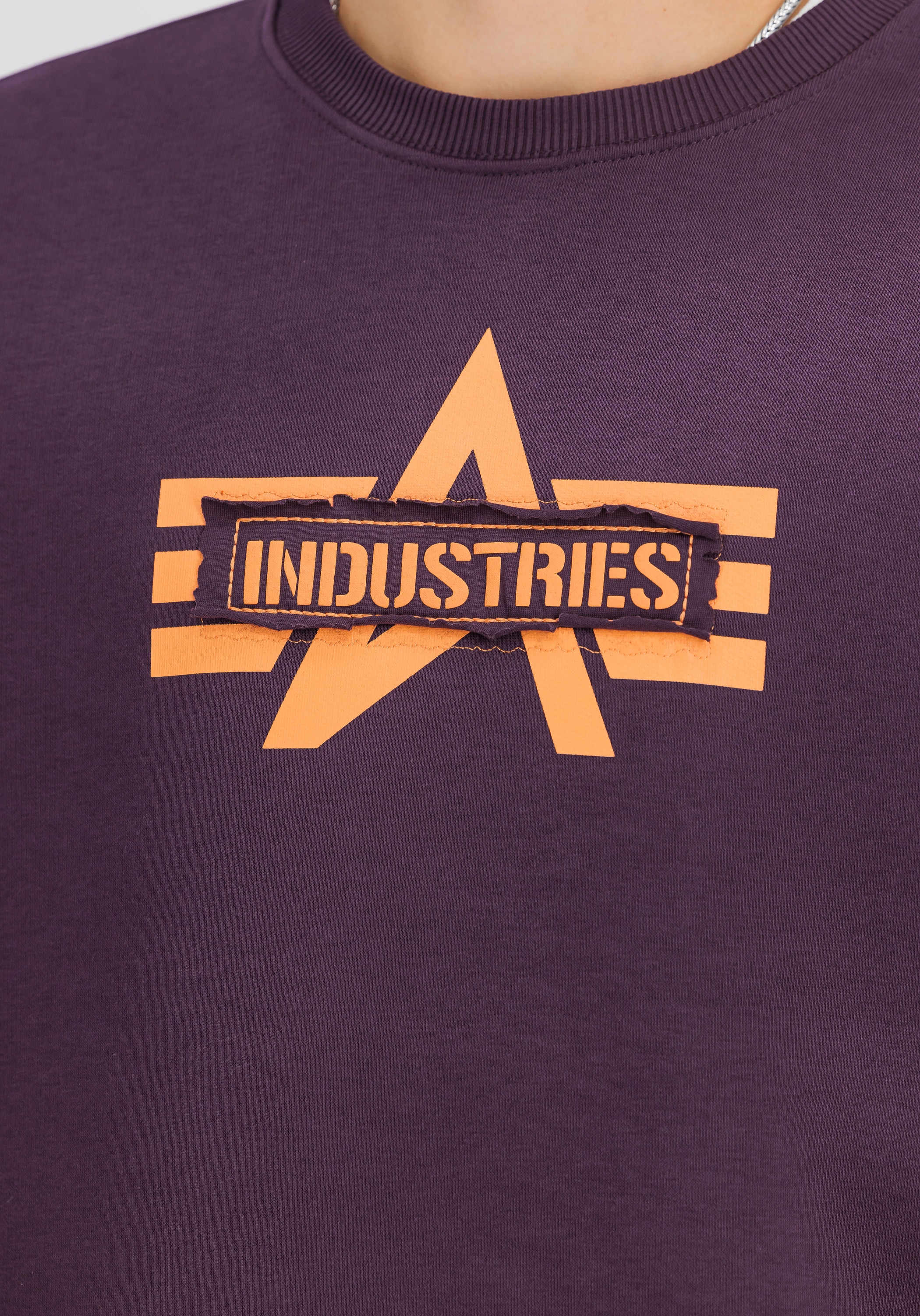 Alpha Industries Sweater »Logo Edge Sweatshirt«