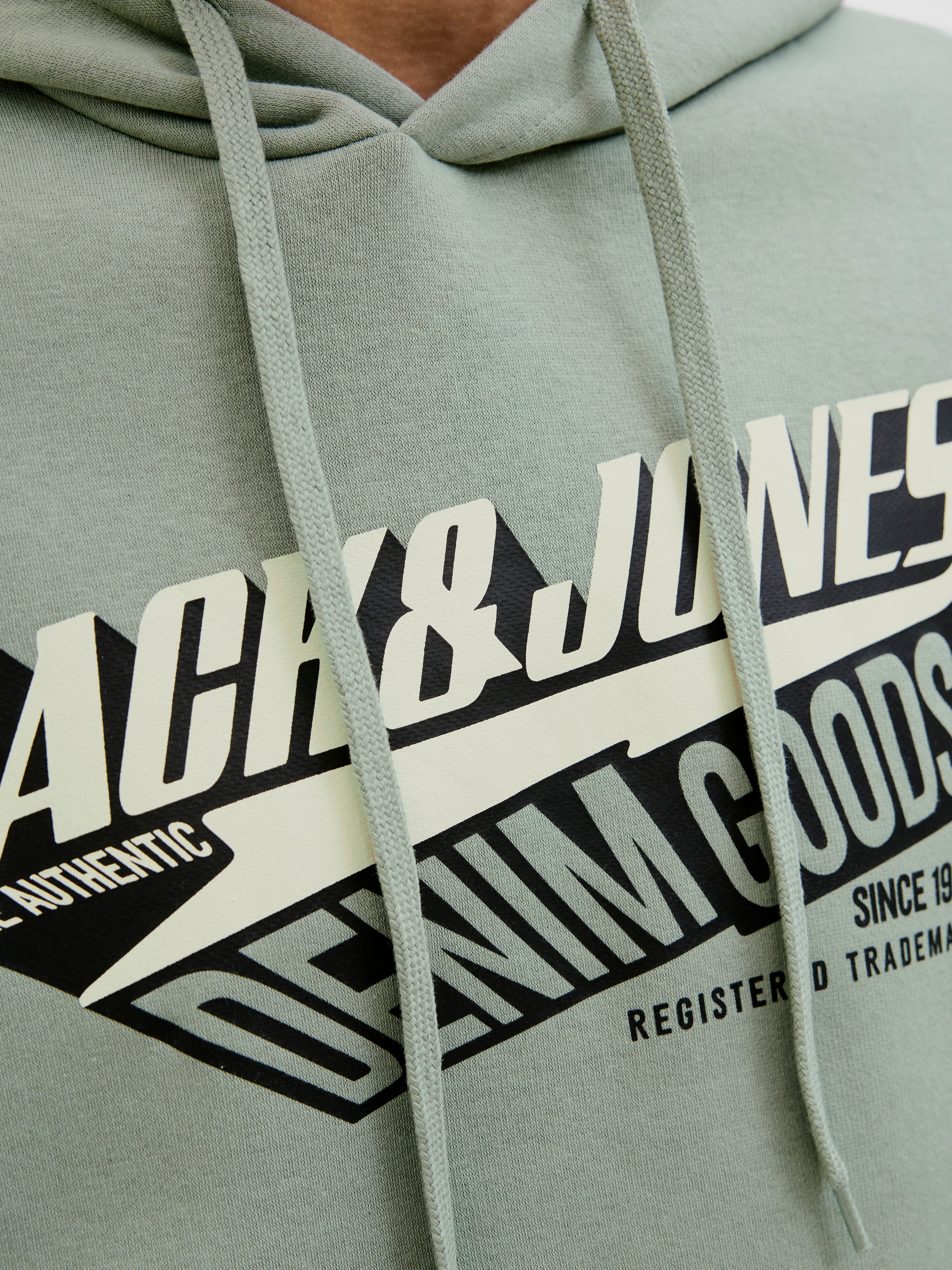 Jack & Jones Kapuzensweatshirt »JJELOGO SWEAT HOOD 2 COL 25/26 NOOS«