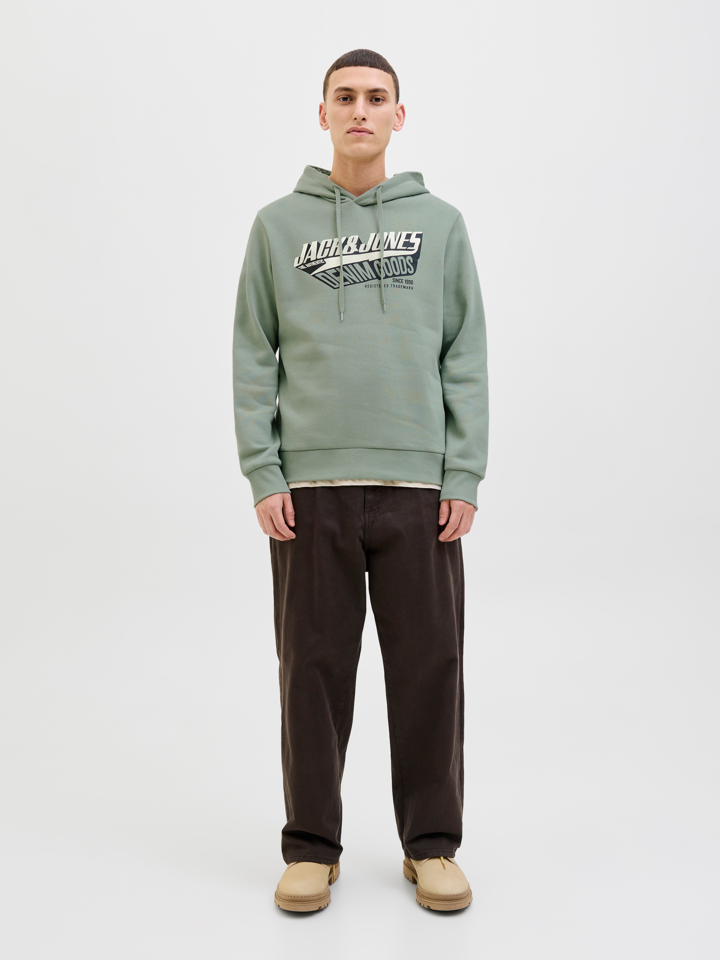Jack & Jones Kapuzensweatshirt »JJELOGO SWEAT HOOD 2 COL 25/26 NOOS«
