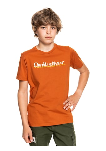 Quiksilver T-Shirt »Primary Colours« kaufen