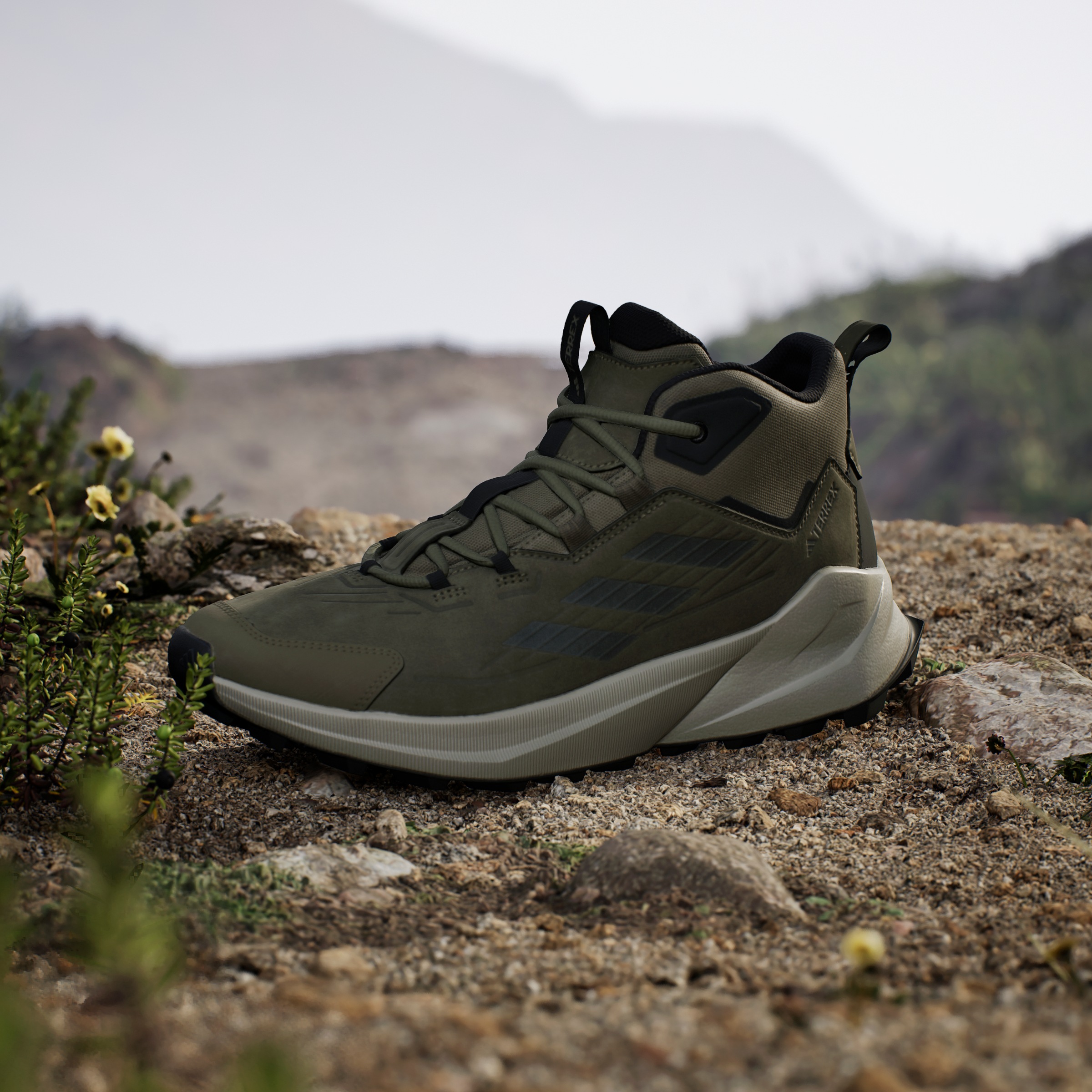 adidas TERREX Wanderschuh »TERREX TRAILMAKER 2.0 LEATHER«