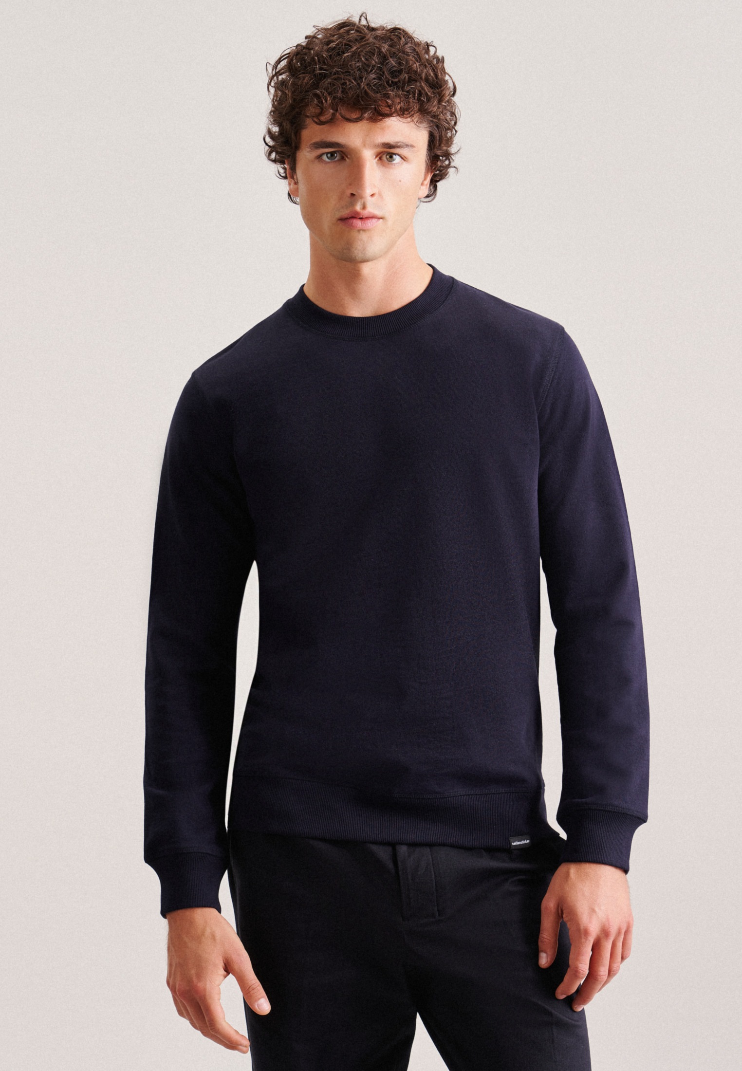 seidensticker Sweater »Regular«, Sweater Uni