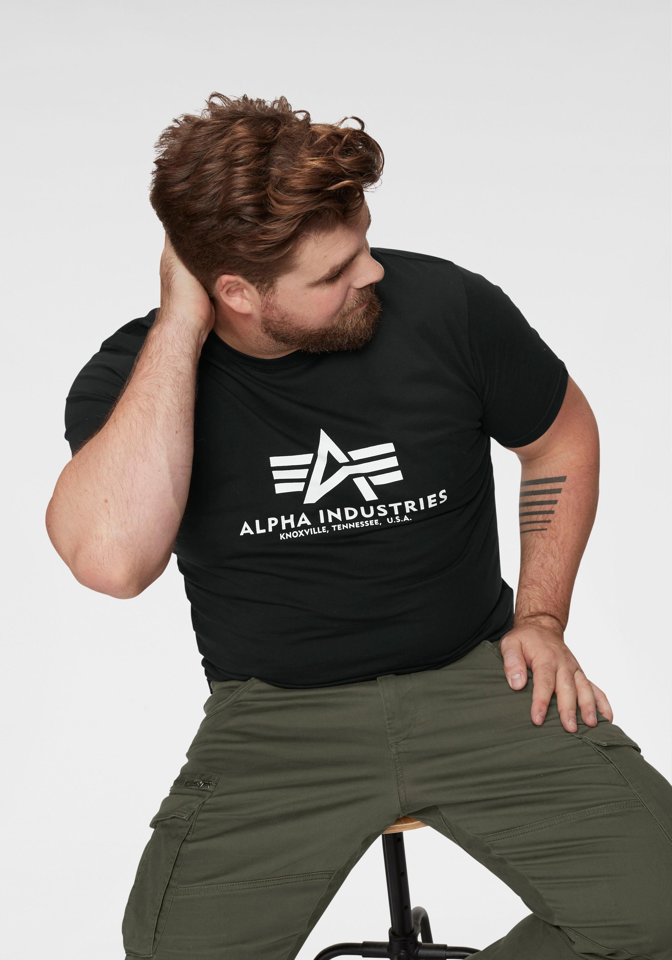 Alpha Industries T-Shirt »Basic T-Shirt«