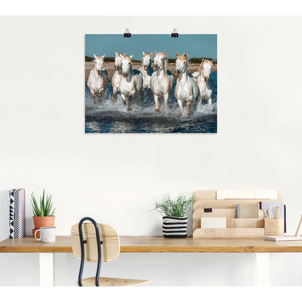 Artland Wandbild »Camargue Pferde galoppieren am Strand«, Haustiere, (1 St.)