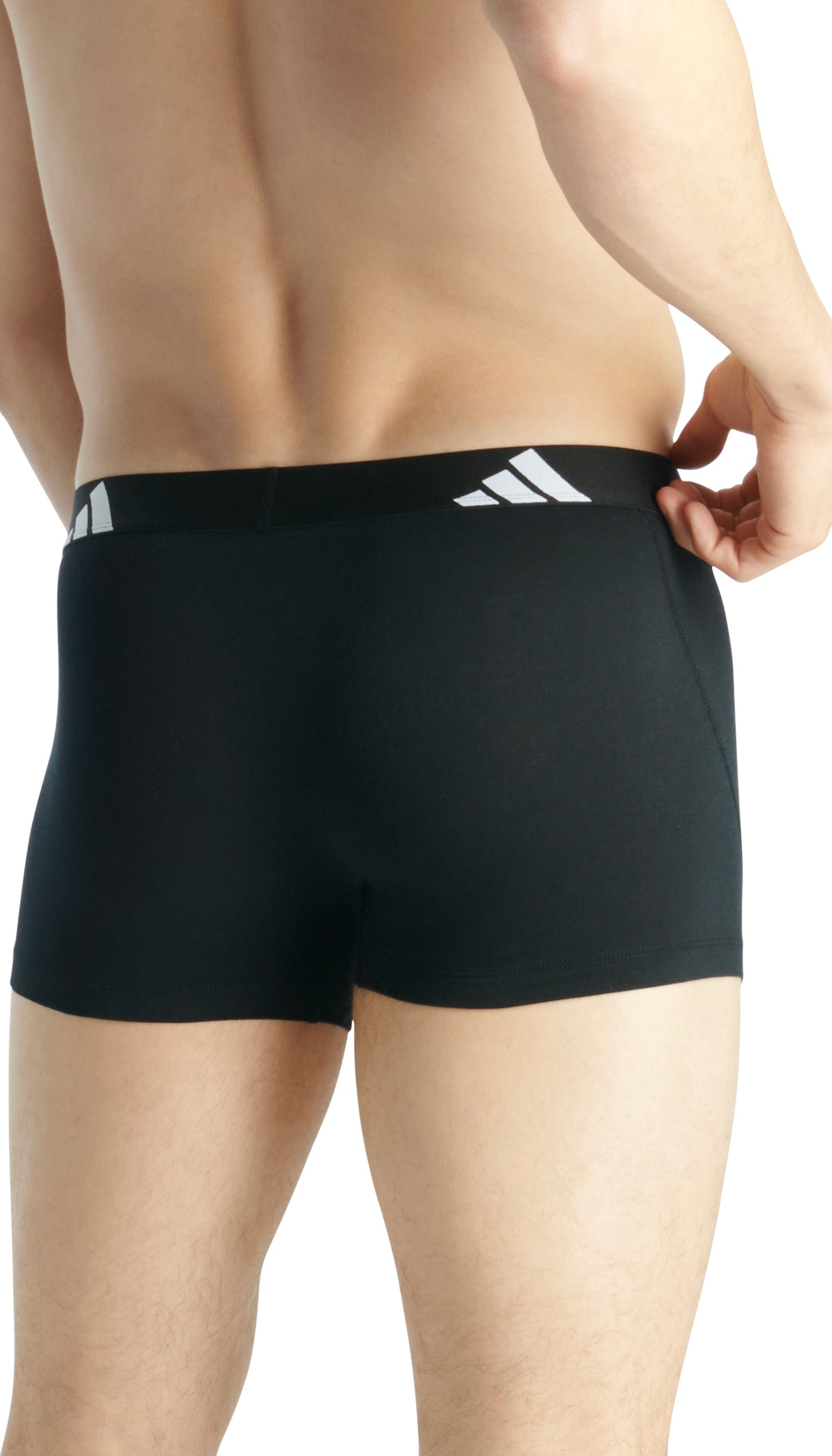 adidas Sportswear Trunk »Active Flex Cotton«, (5er Pack), Multipack, elastisch, Logo-Bund, ohne Eingriff