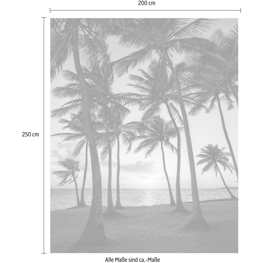 Komar Vliestapete »Palmtrees on Beach«