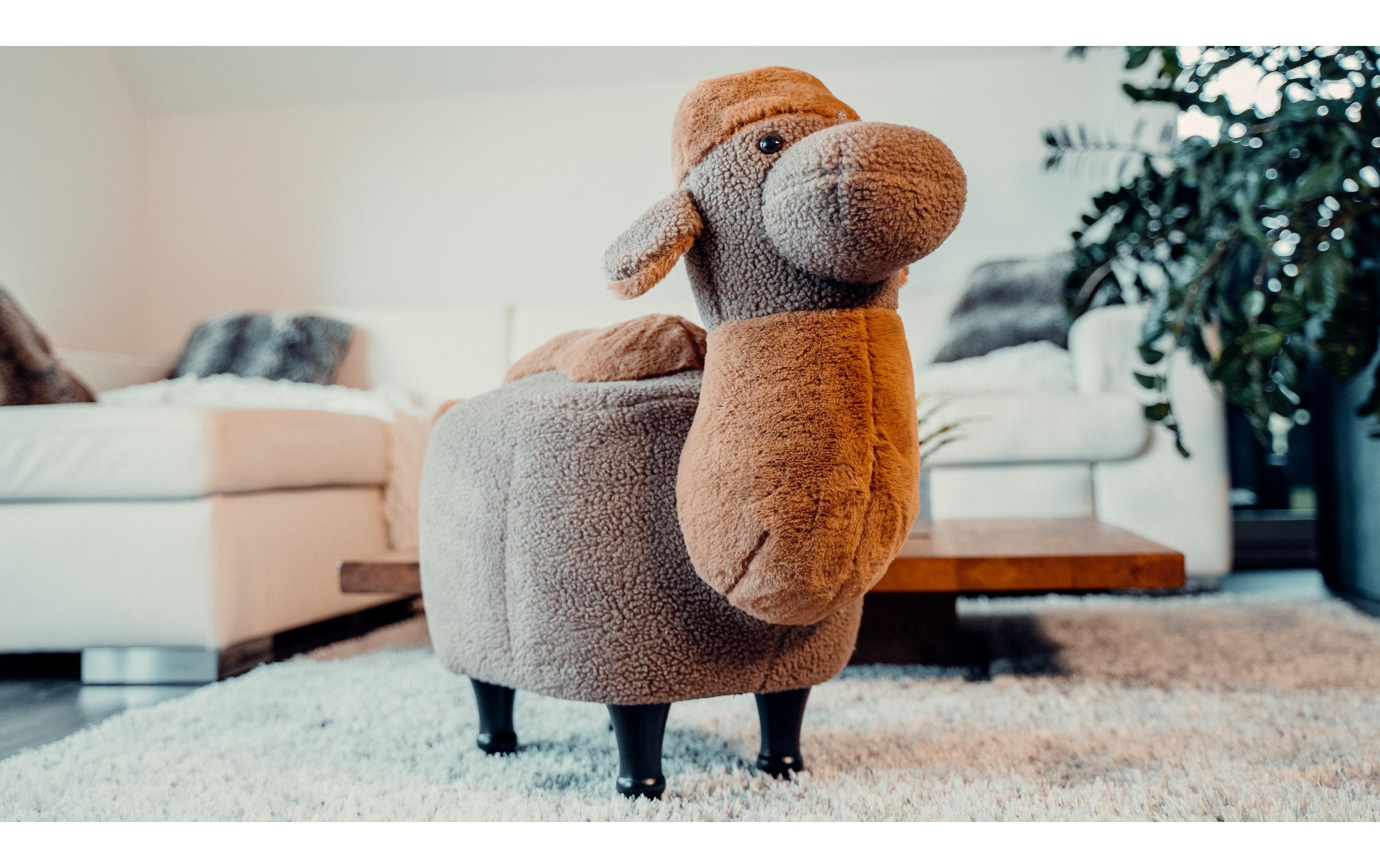 Hocker »zoosy Kamel Gustav Bra«