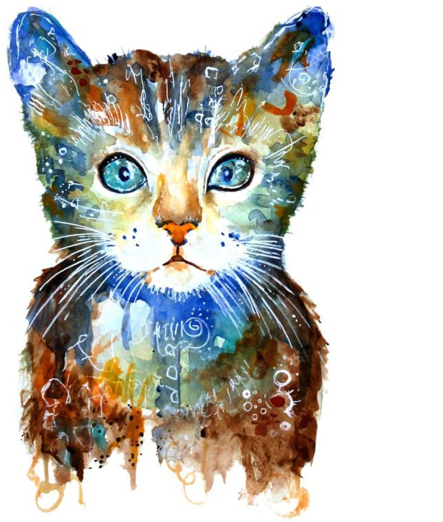 Wall-Art Wandtattoo online »Lebensfreude - St.) Kleine Katze«, (1 | Jelmoli-Versand bestellen