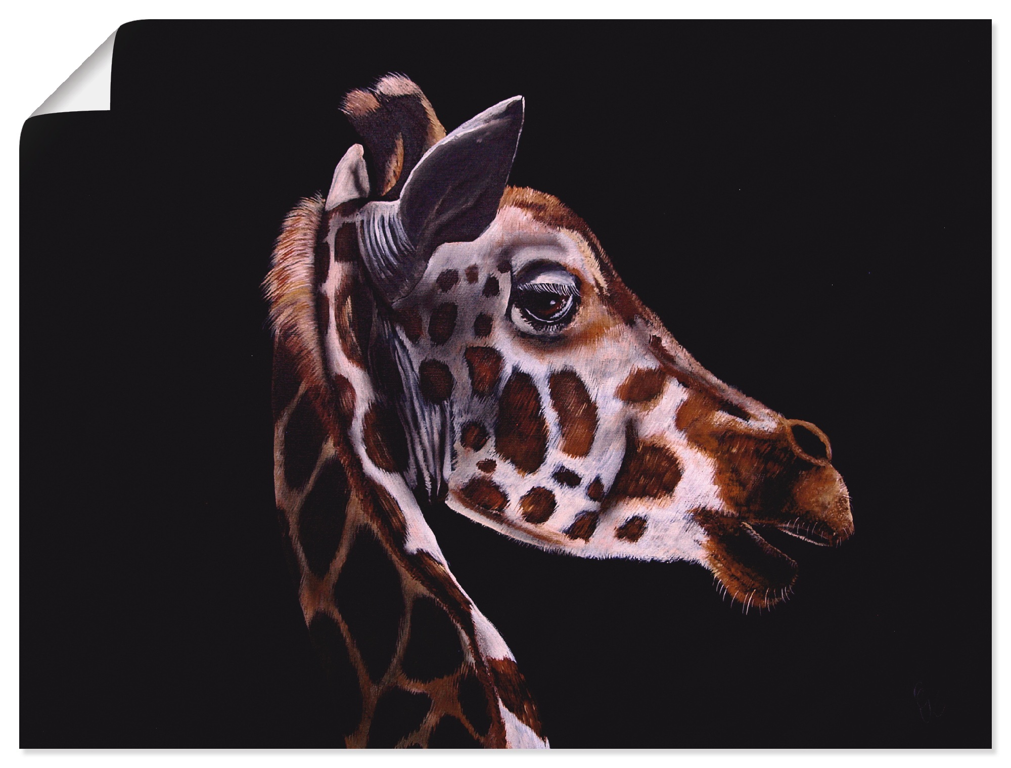 Artland Wandbild »Giraffe«, Wildtiere, (1 St.), als Alubild, Leinwandbild,  Wandaufkleber oder Poster in versch. Grössen online bestellen |  Jelmoli-Versand