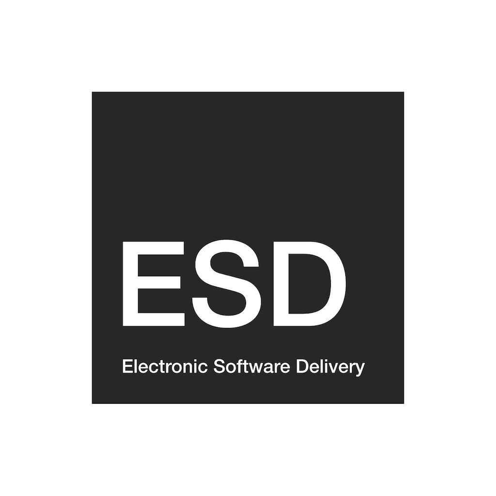 Microsoft Anwendungssoftware »Microsoft Visio Standard 2019 ESD,«