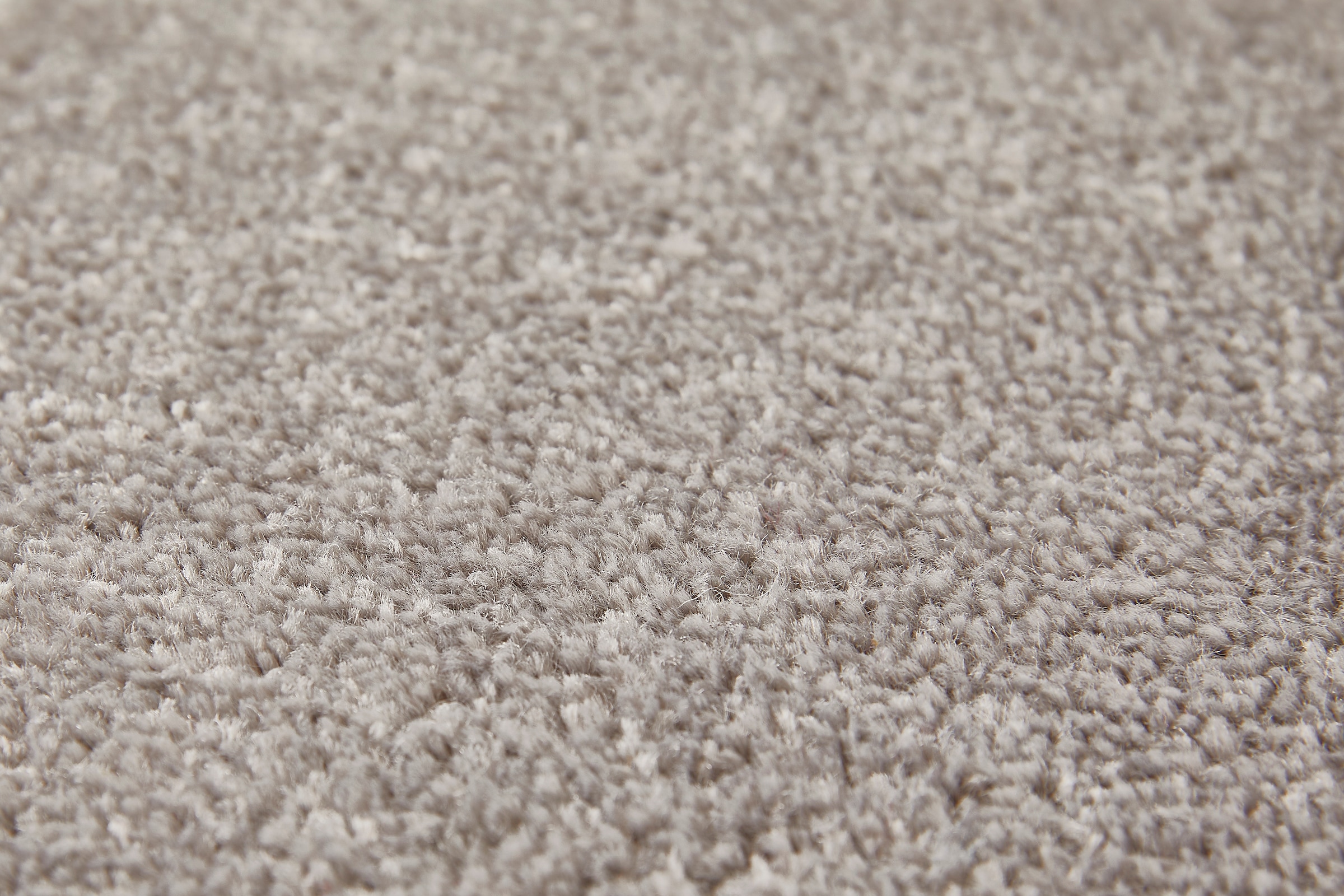 my home Teppichboden »Isabella, Velours, Made in Netherlands«, rechteckig, 8,5 mm Höhe, Breite 400 cm, Uni Farben, weich, pflegeleicht, strapazierfähig