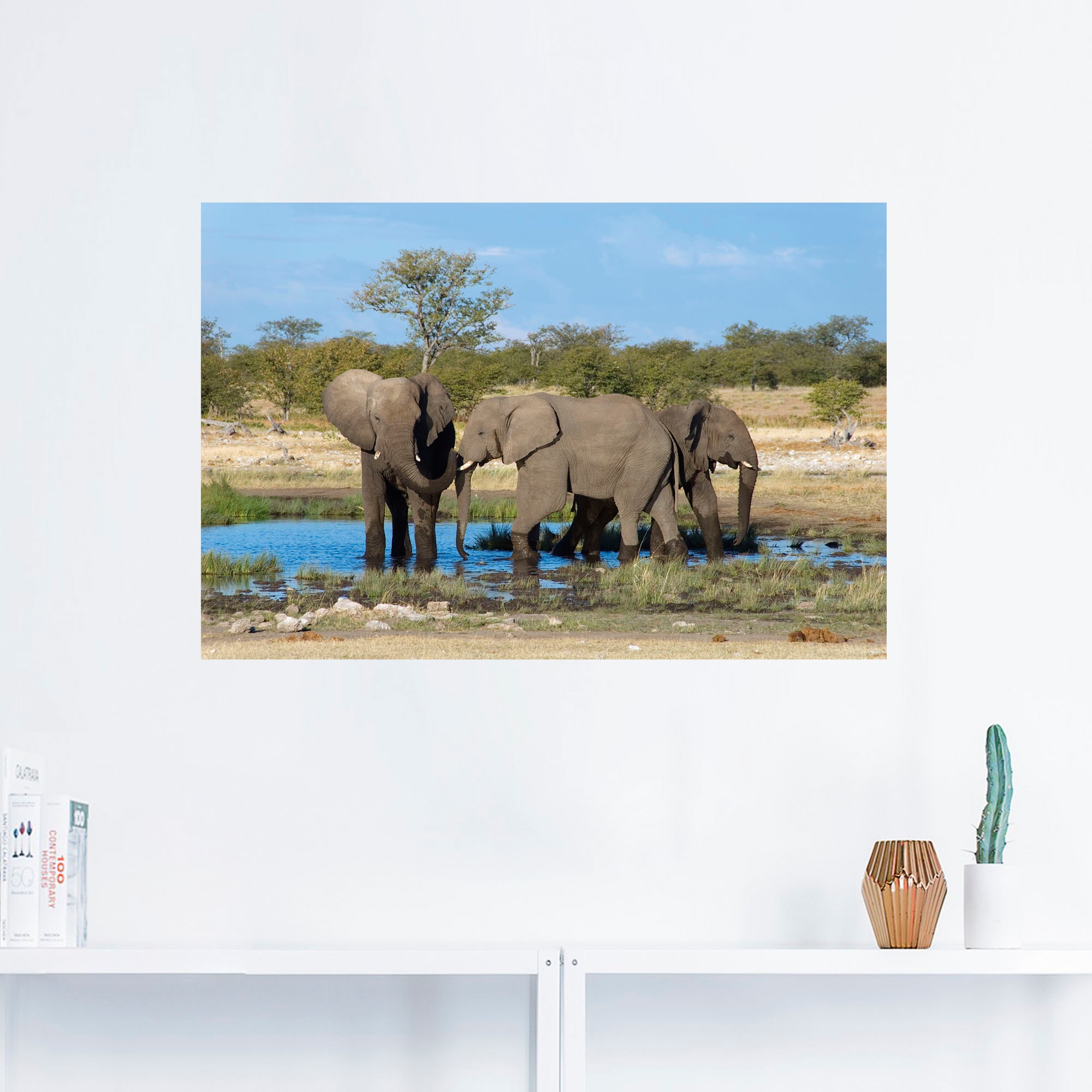 Artland Wandbild »Afrikanischer Elefant EtoshaNationalpark«, Elefanten  Bilder, (1 St.), als Alubild, Leinwandbild, Wandaufkleber oder Poster in  versch. Grössen online kaufen | Jelmoli-Versand