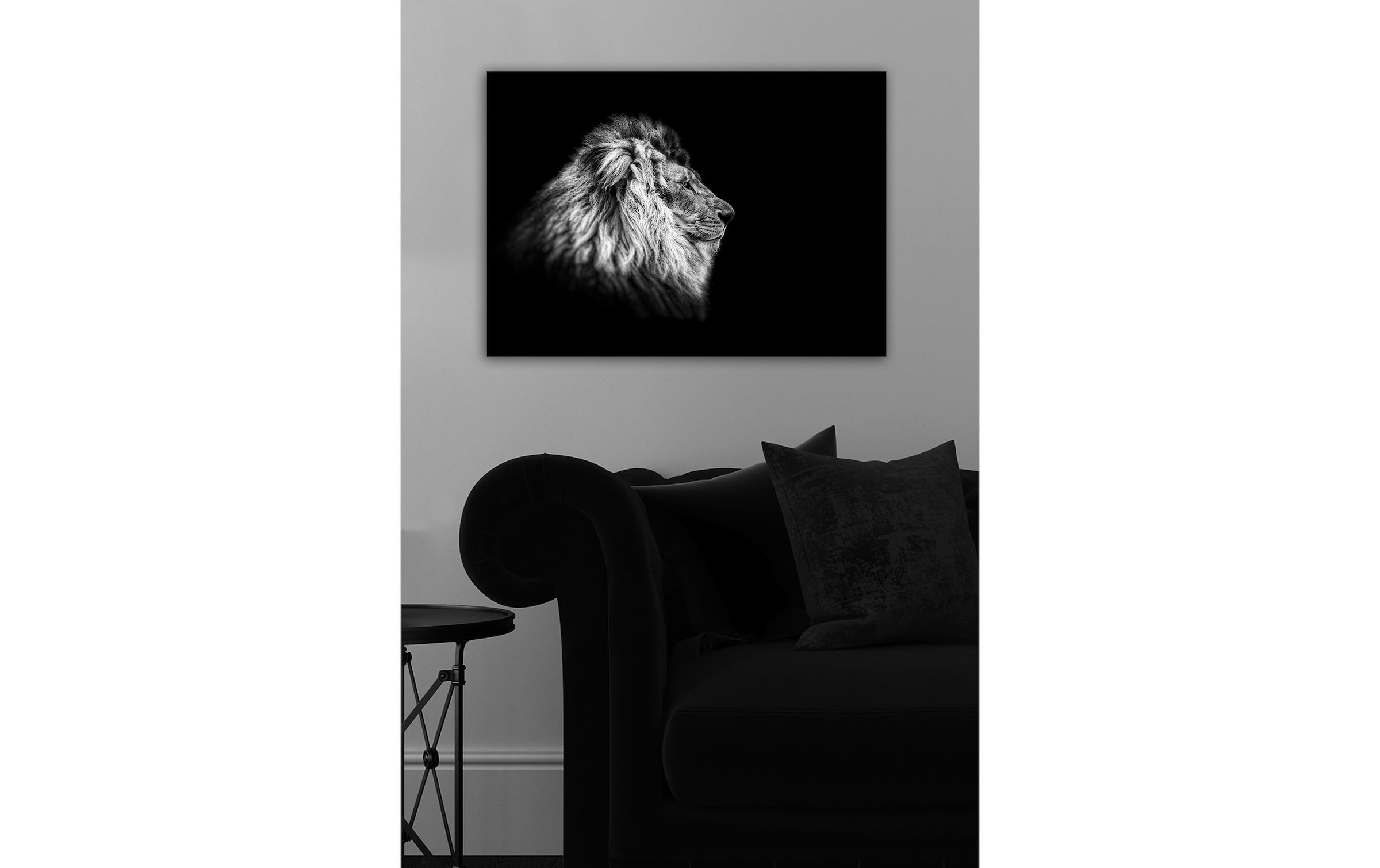 Wandbild »Wallxpert Löwe«, Löwe