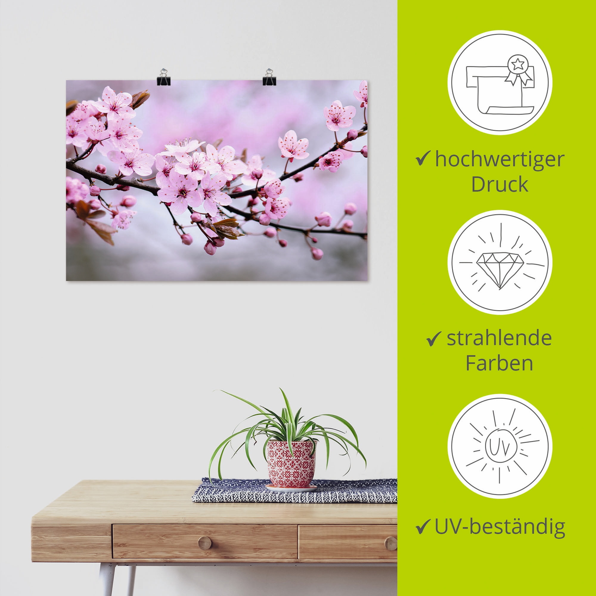 Artland Wandbild »Kirschblüten«, Blumen, (1 St.), als Alubild, Outdoorbild, Leinwandbild, Poster, Wandaufkleber