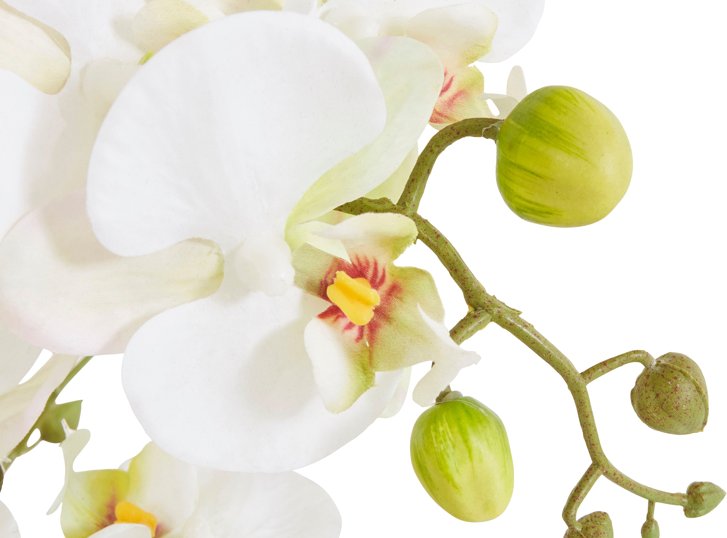 Kunstorchidee »Ernestine«, Jelmoli-Versand bestellen im Topf online Kunstpflanze, DELAVITA |