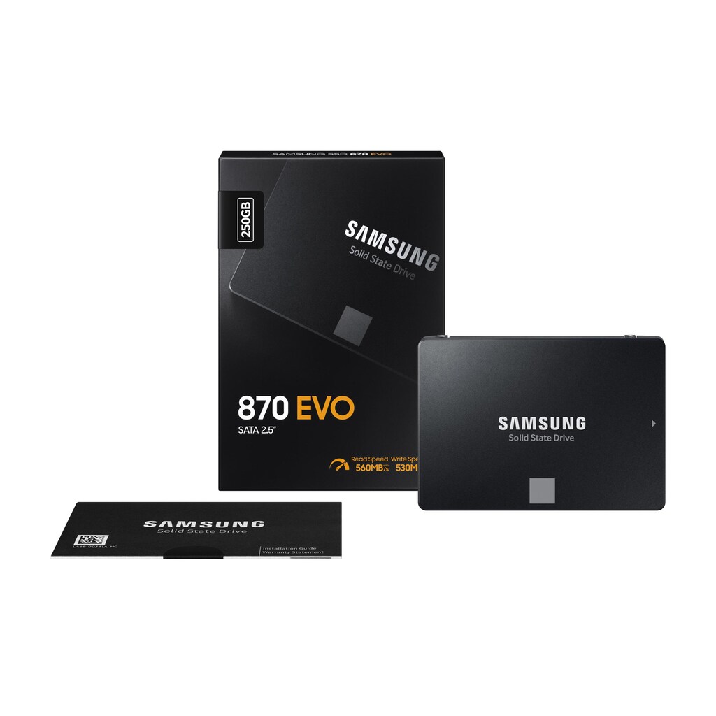 Samsung externe SSD »870 EVO 44683 SATA 250 G«