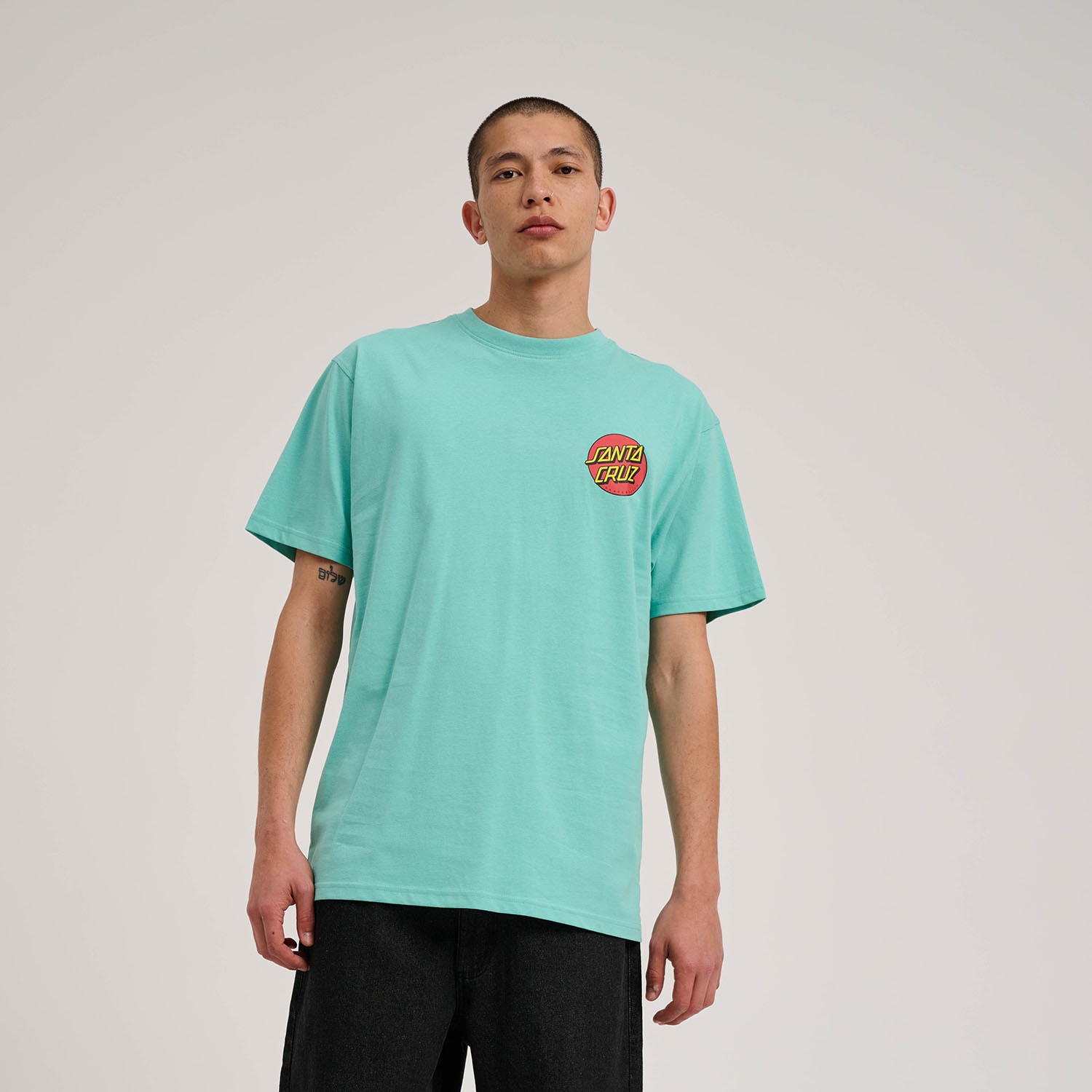 Santa Cruz T-Shirt »DILLON SHORTS«, (1 tlg.)