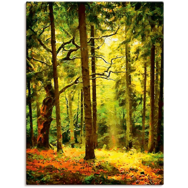 Artland Wandbild »Wald II«, Waldbilder, (1 St.), als Alubild, Leinwandbild,  Wandaufkleber oder Poster in versch. Grössen online shoppen |  Jelmoli-Versand