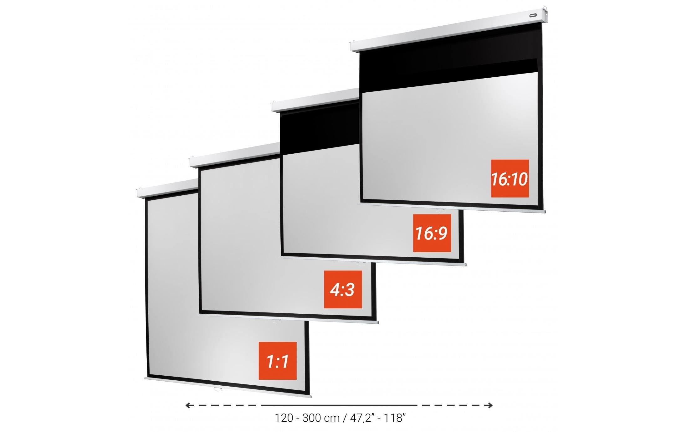 Celexon Rolloleinwand »Professional Plus 240x240 cm«