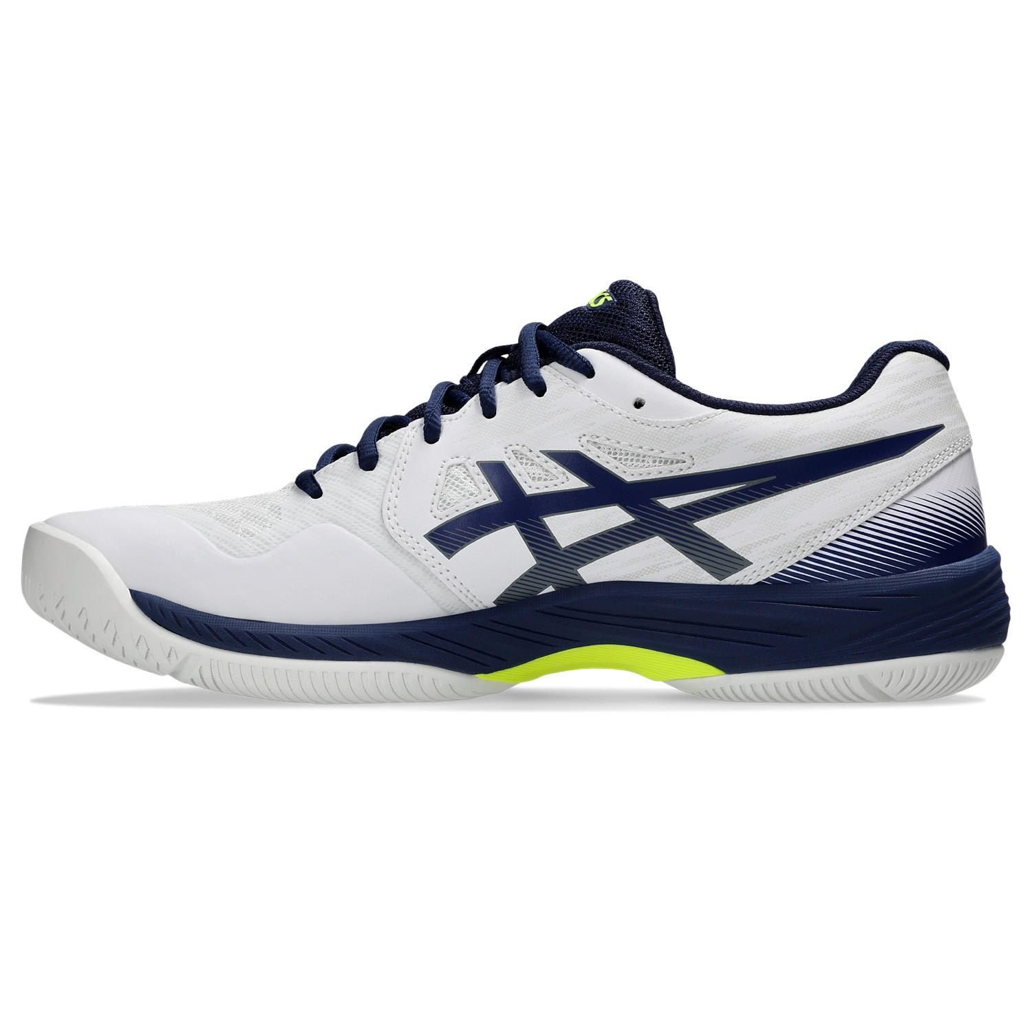 Asics Indoorschuh »GEL-COURT HUNTER 3«