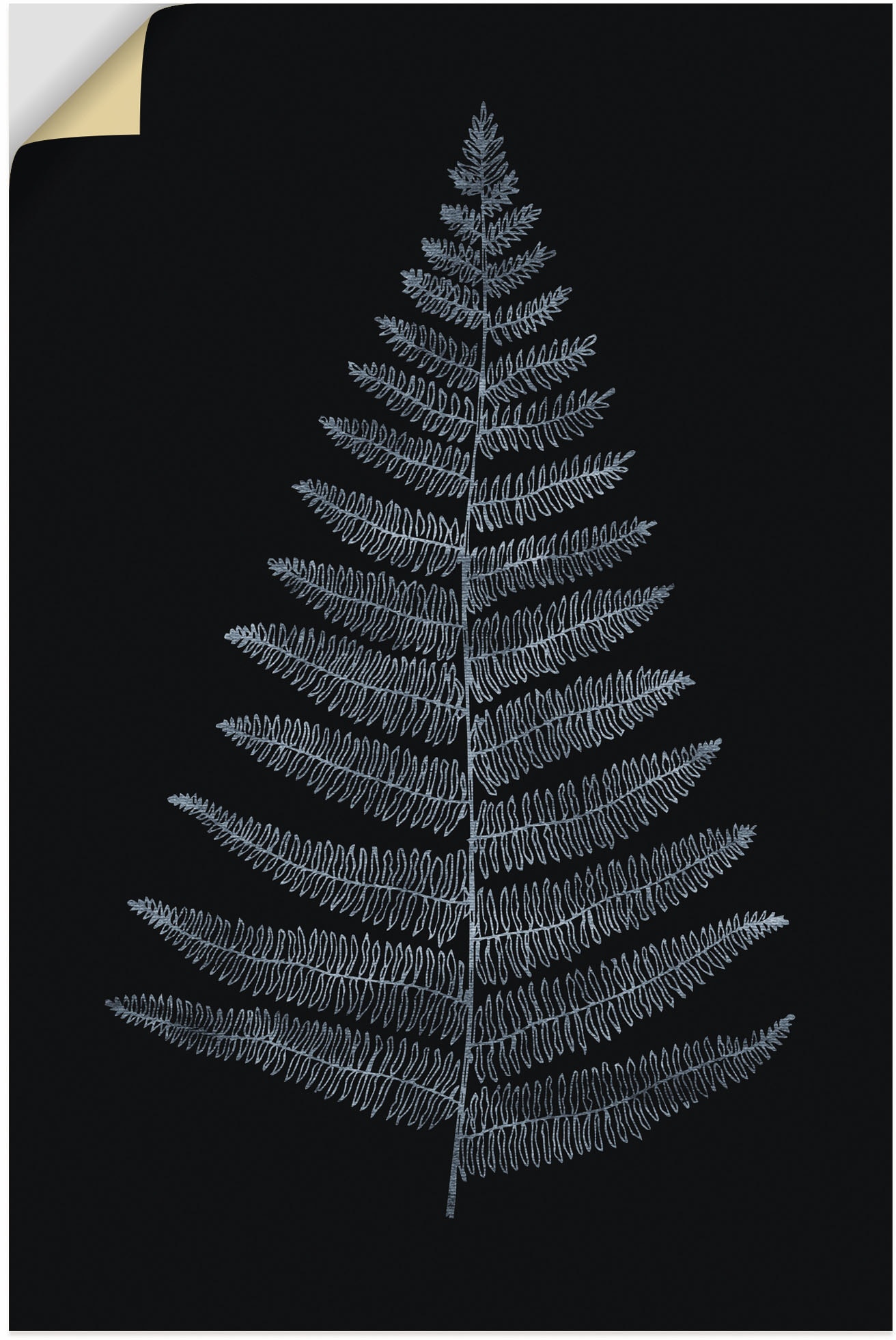 »Botanica Alubild, oder Wandaufkleber (1 | Wandbild online in Blätterbilder, Artland Minimalistica«, versch. St.), Grössen bestellen Jelmoli-Versand Poster Leinwandbild, als