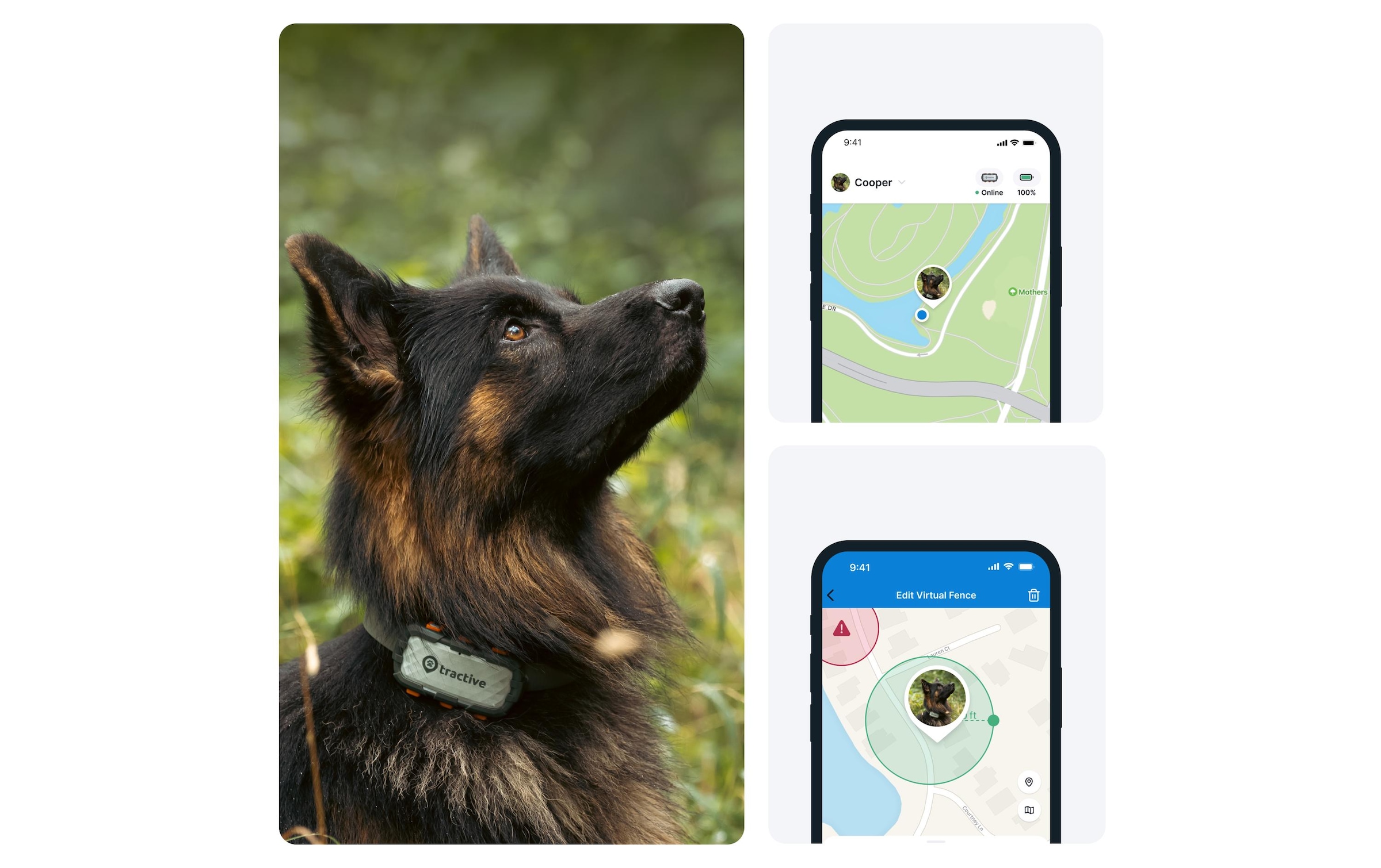 Tractive GPS-Hundetracker »DOG XL Adventure Edition«, Weltweites Standort- und Aktivitätstracking in über 175 Länder