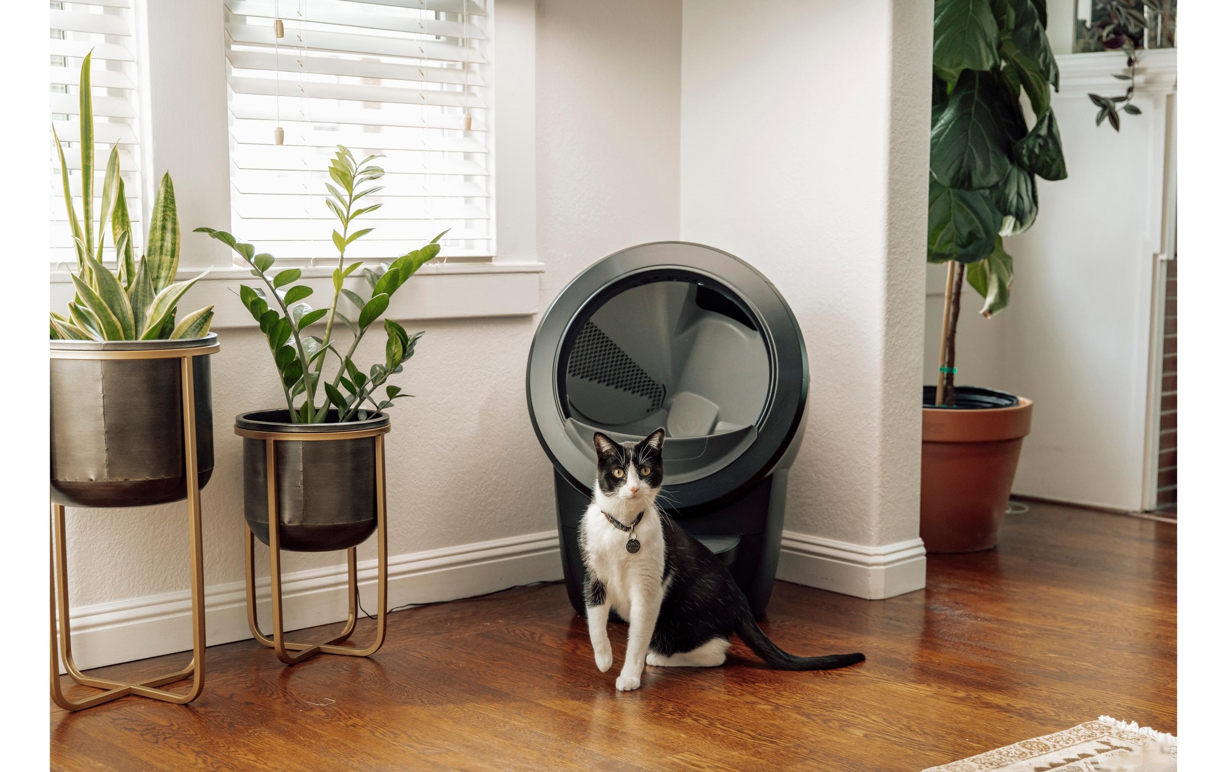 Katzentoilette »Litter-Robot Katzentoilette Litter Robot 4«