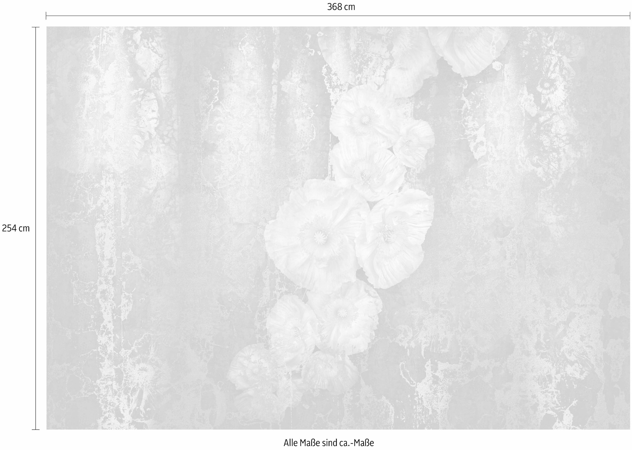 Komar Fototapete »Serafina - Grösse 368 x 254 cm«, bedruckt, Wohnzimmer, Schlafzimmer