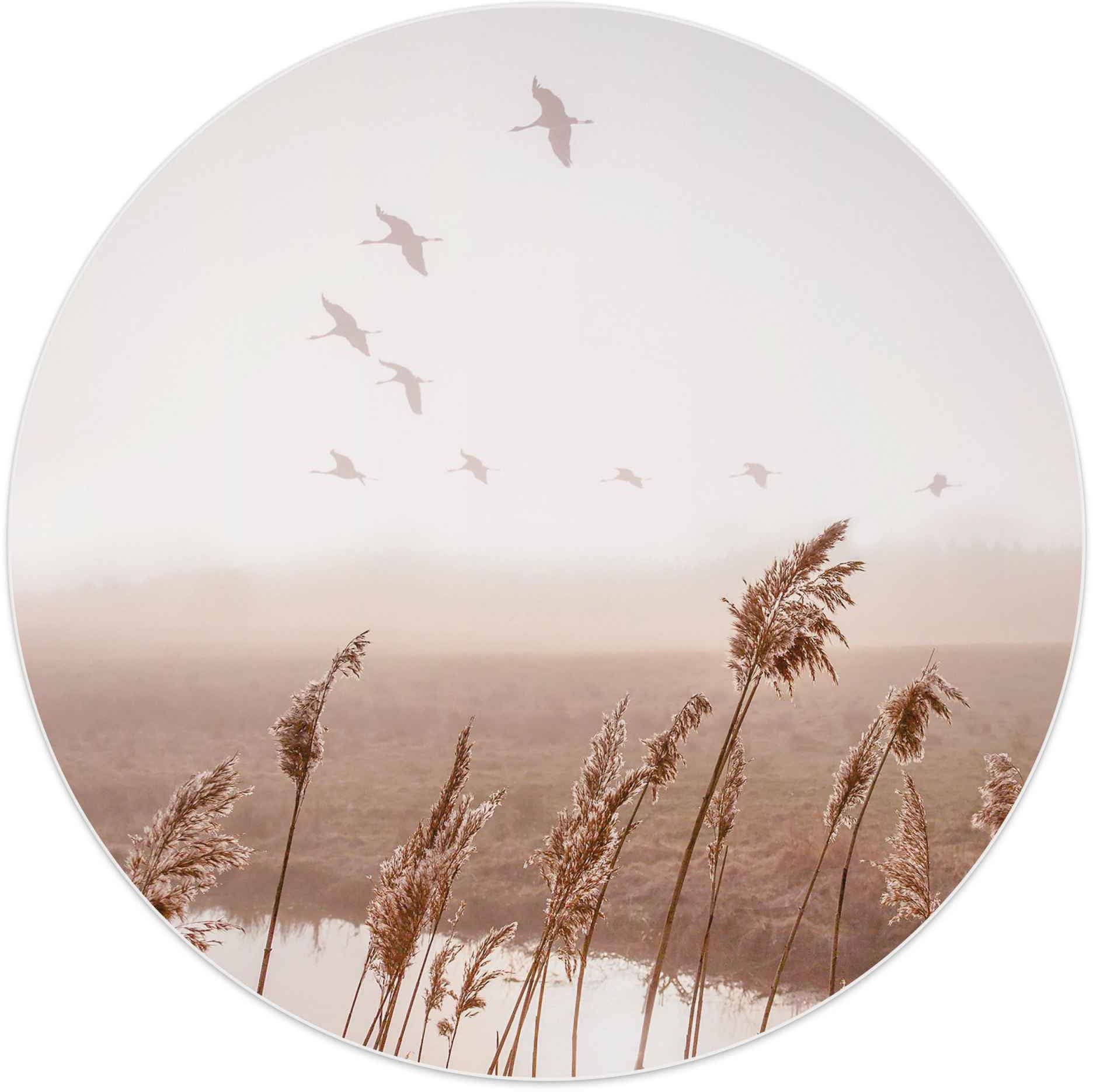 Reinders! Wandbild »Wandbild Fliegende Gänse Sommer - Himmel - Pampasgras - Horizont«, Vögel, (1 St.)