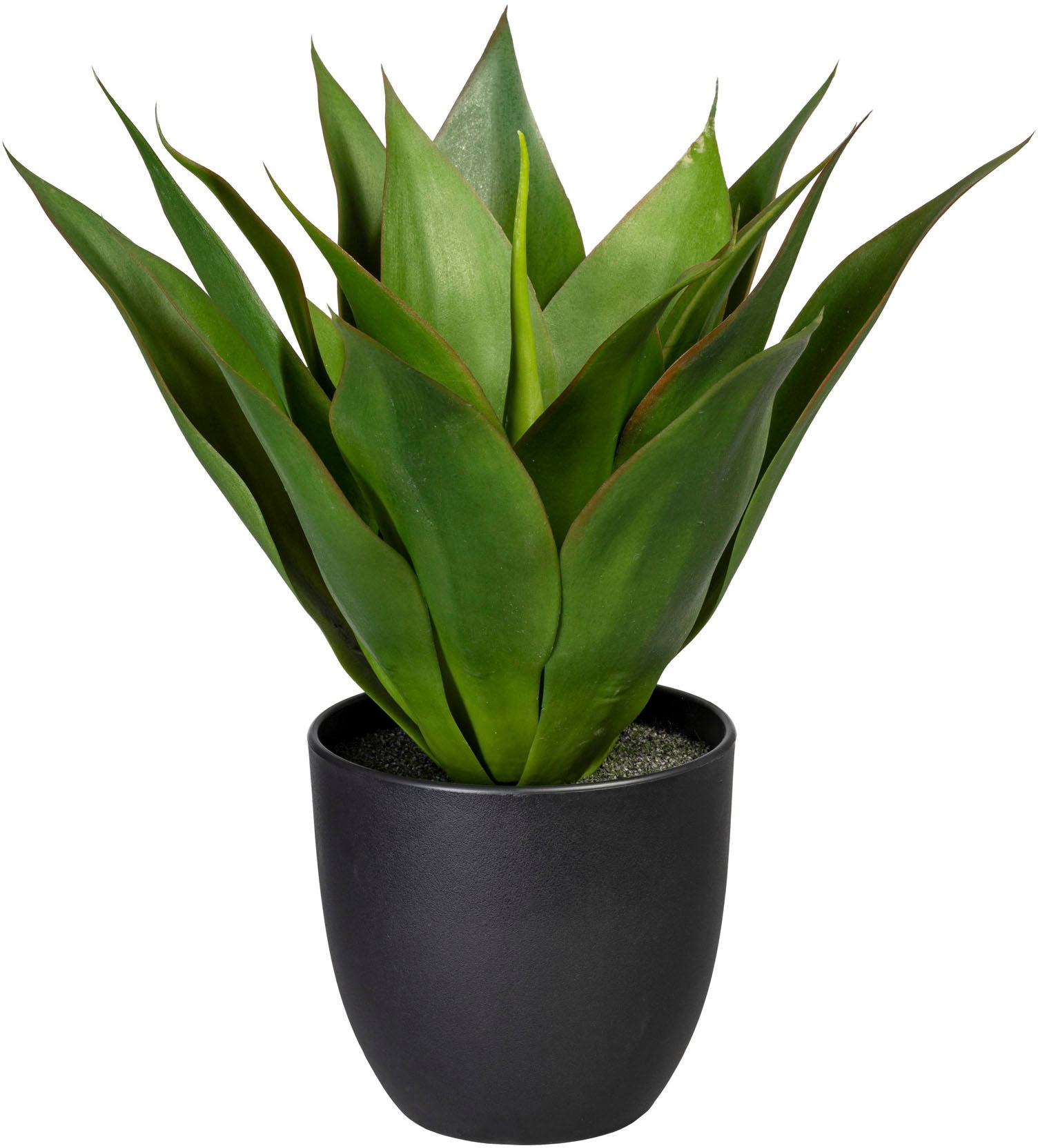 Creativ green Künstliche Zimmerpflanze »Dekokugel zum Hängen« online kaufen  | Jelmoli-Versand