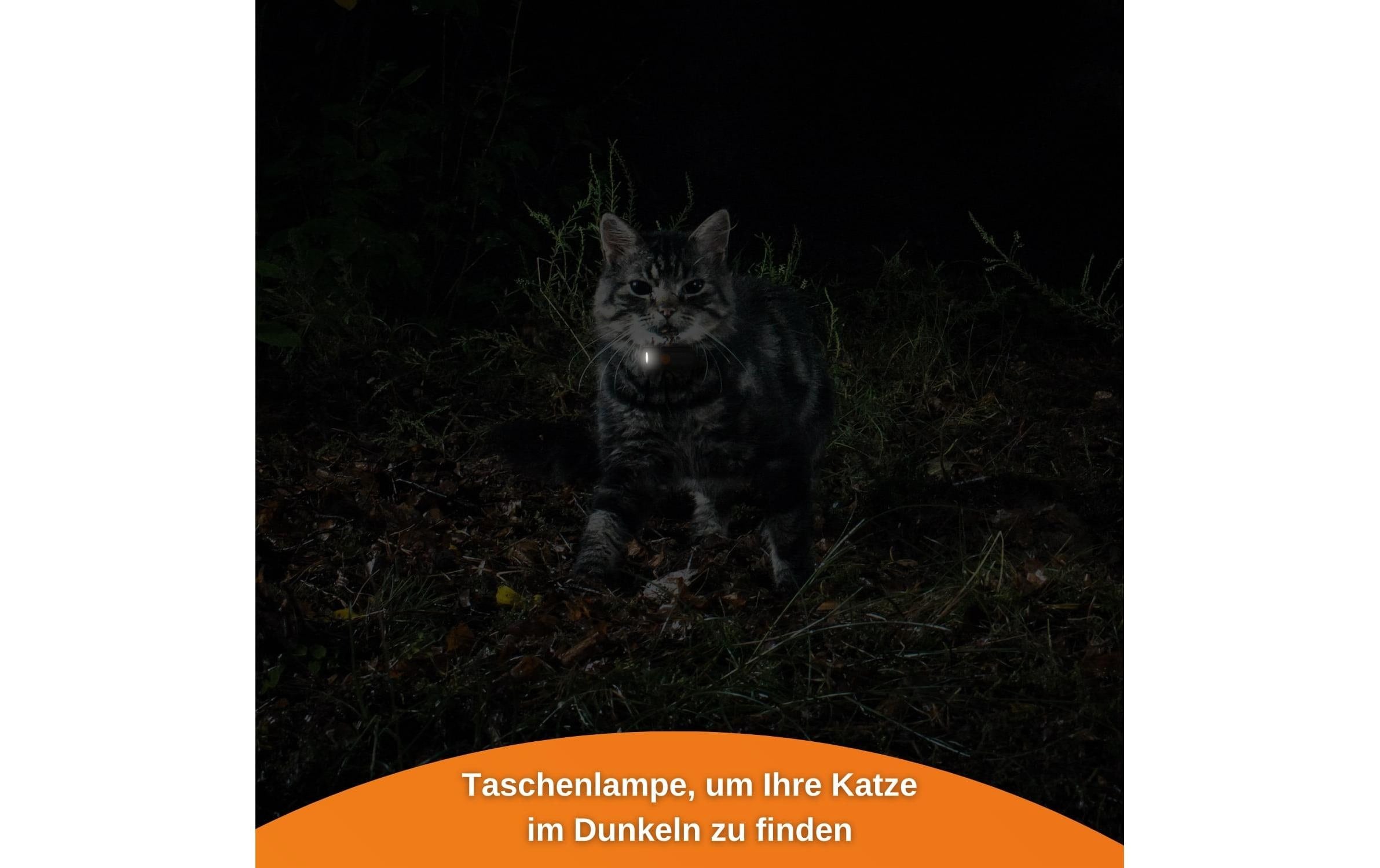 GPS-Tracker »Weenect XS für Katzen Schwarz«