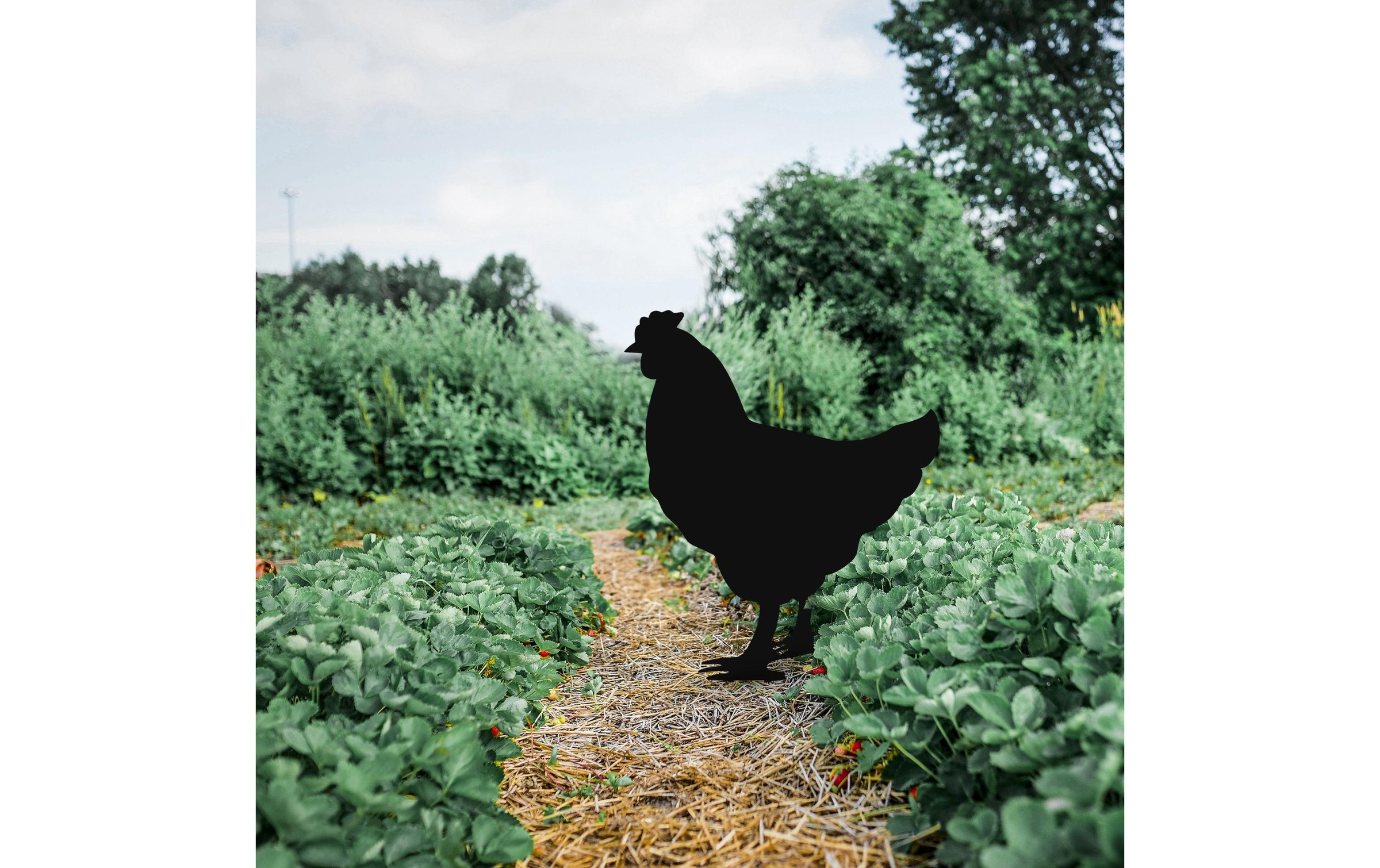 Gartenstecker »Wallxpert Chicken«