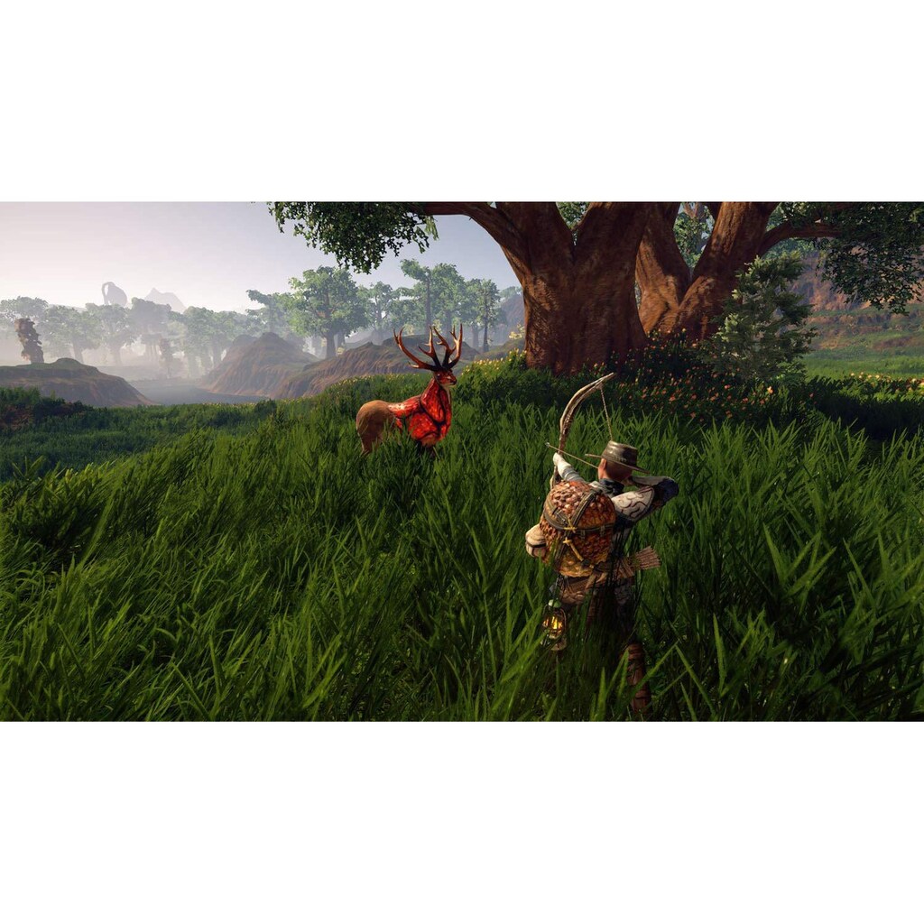 Spielesoftware »Outward«, PC, Limited Edition