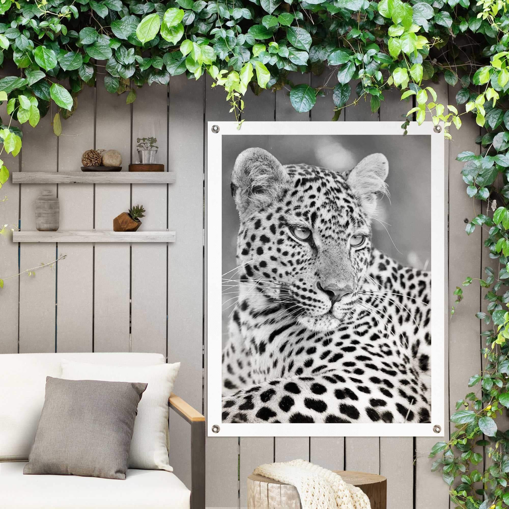 | Jelmoli-Versand shoppen Poster Outdoor für »Leopard«, Reinders! Balkon online Garten oder