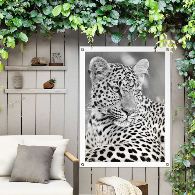Reinders! Poster »Leopard«, Outdoor für Garten oder Balkon online shoppen |  Jelmoli-Versand
