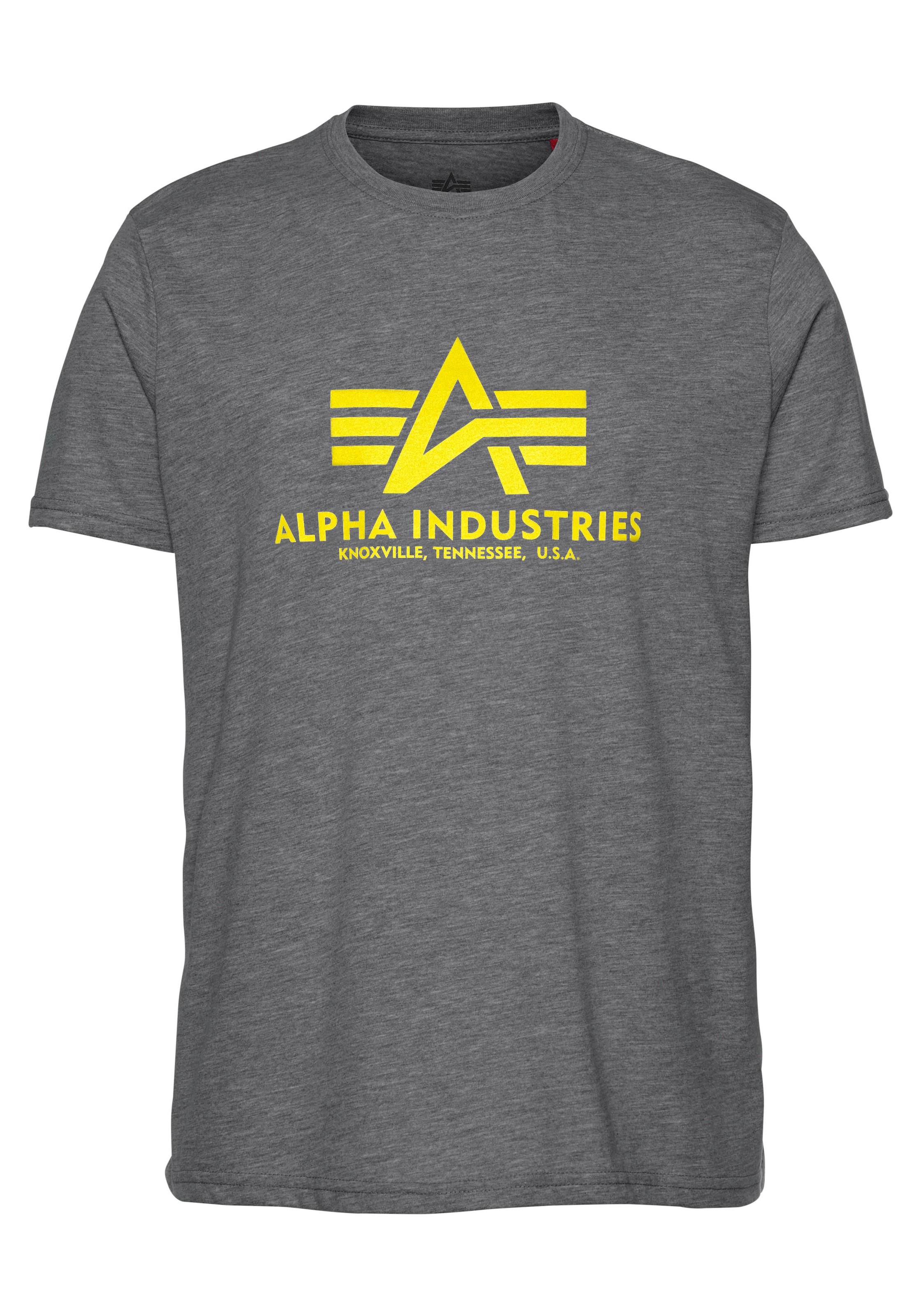 Alpha Industries T-Shirt »Basic T-Shirt«