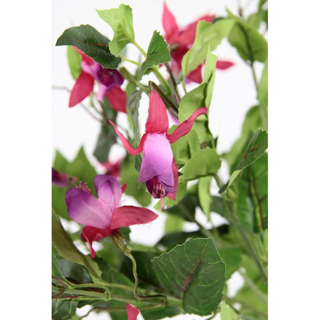 I.GE.A. Kunstblume »Fuchsienbusch«, 2er Set Zimmerpflanze Deko  Doppelblütenblätter Topfpflanze Hybrid Hort online shoppen | Jelmoli-Versand