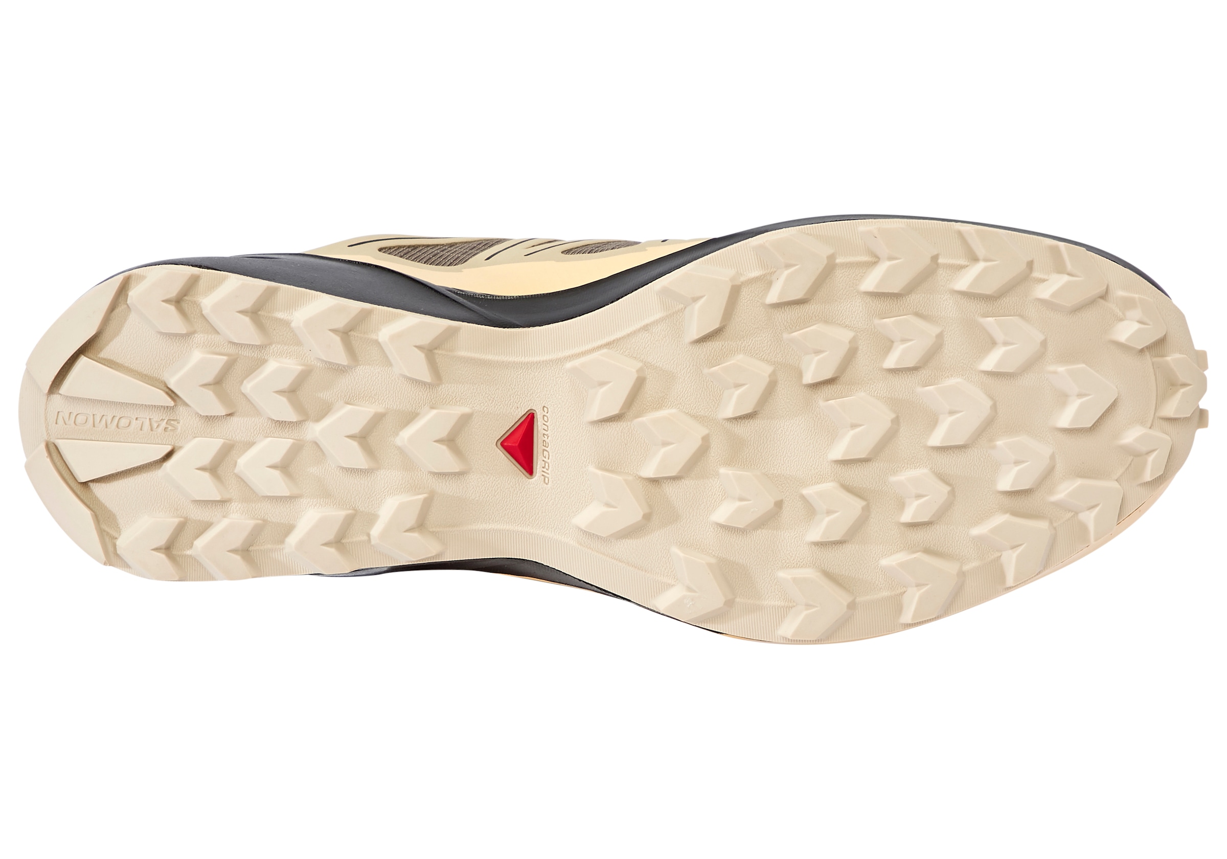 Salomon Trailrunningschuh »SPEEDCROSS PEAK GORE-TEX«, wasserdicht