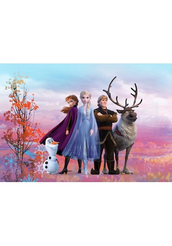 Fototapete »Frozen Iconic«, 368x254 cm (Breite x Höhe), inklusive Kleister