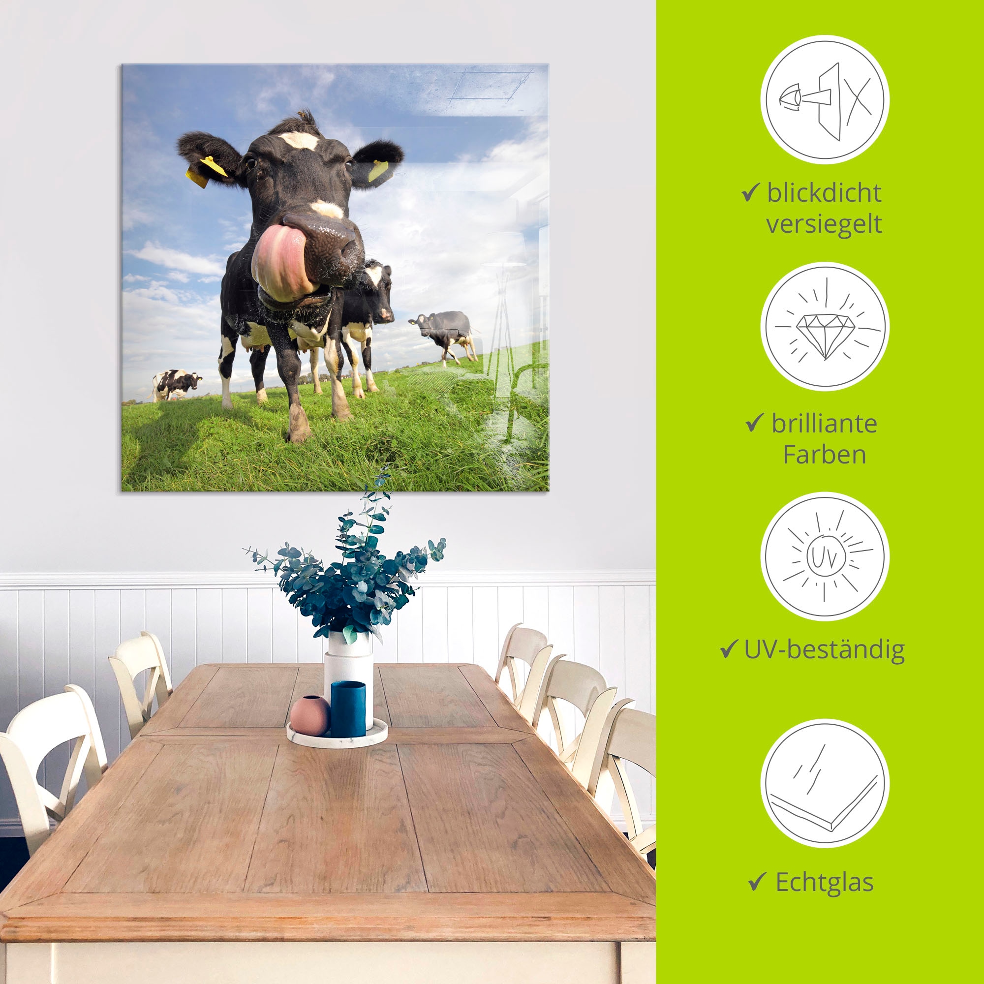 Artland Glasbild »Holstein-Kuh mit gewaltiger Zunge«, Haustiere, (1 St.), in verschiedenen Grössen