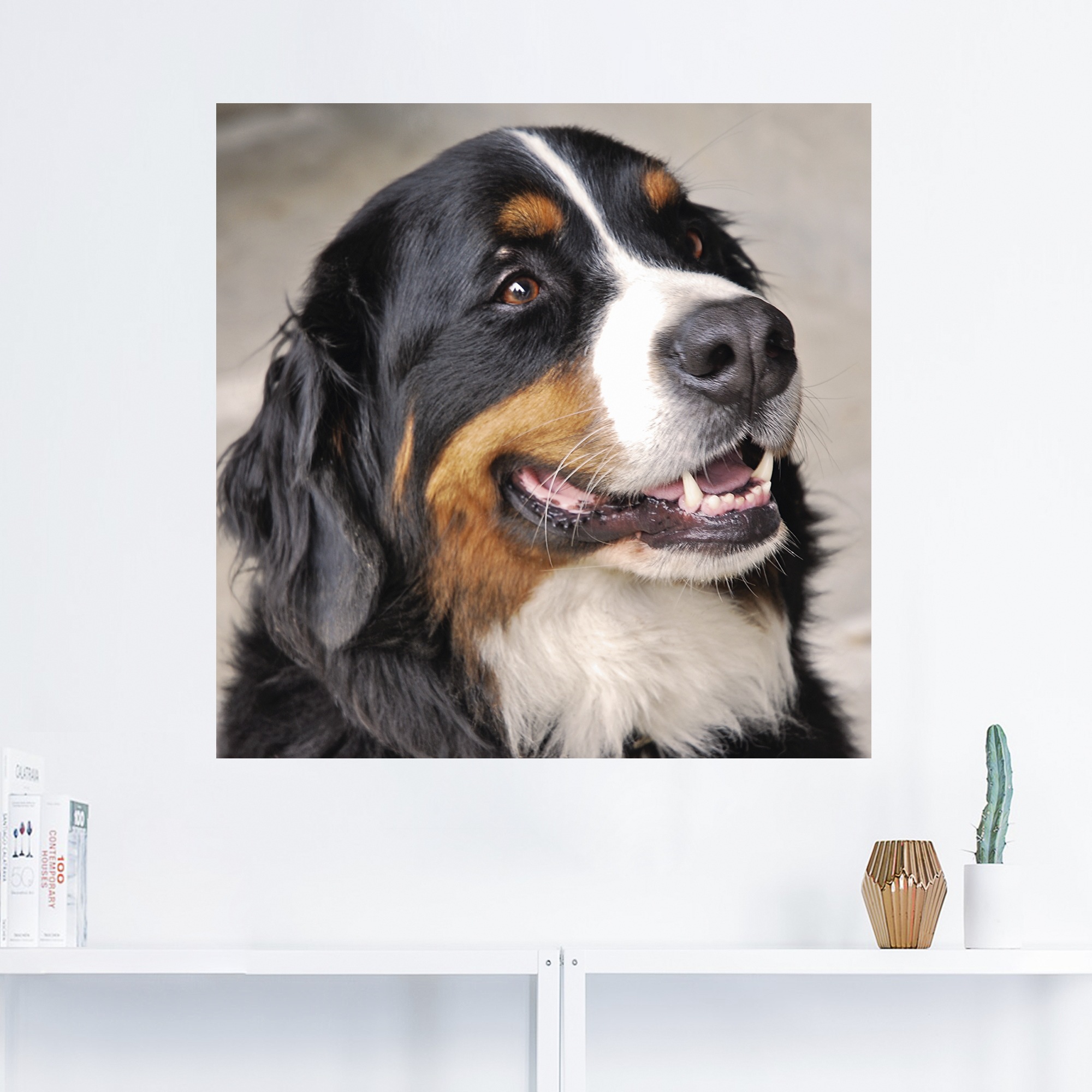 Artland Wandbild »Berner Sennenhund«, Haustiere, (1 St.), als Leinwandbild,  Wandaufkleber oder Poster in versch. Grössen online kaufen | Jelmoli-Versand