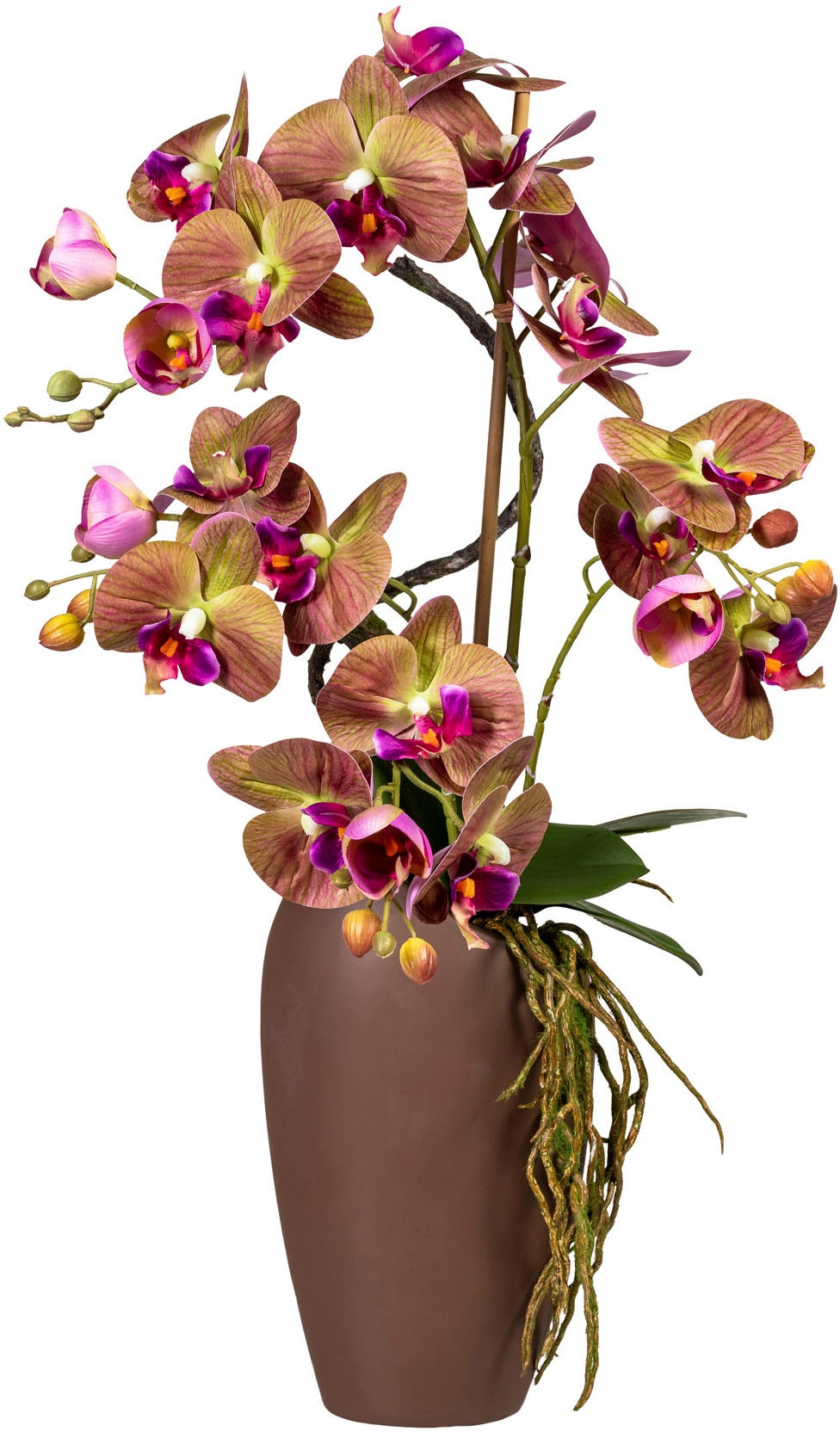 Creativ green Kunstorchidee »Phalaenopsisarrangement in Keramikvase« online  kaufen | Jelmoli-Versand