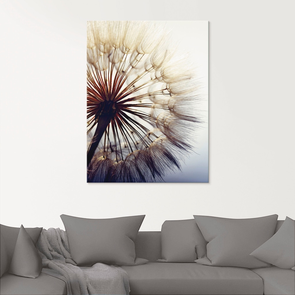 Artland Glasbild »Grosse Pusteblume«, Blumen, (1 St.)