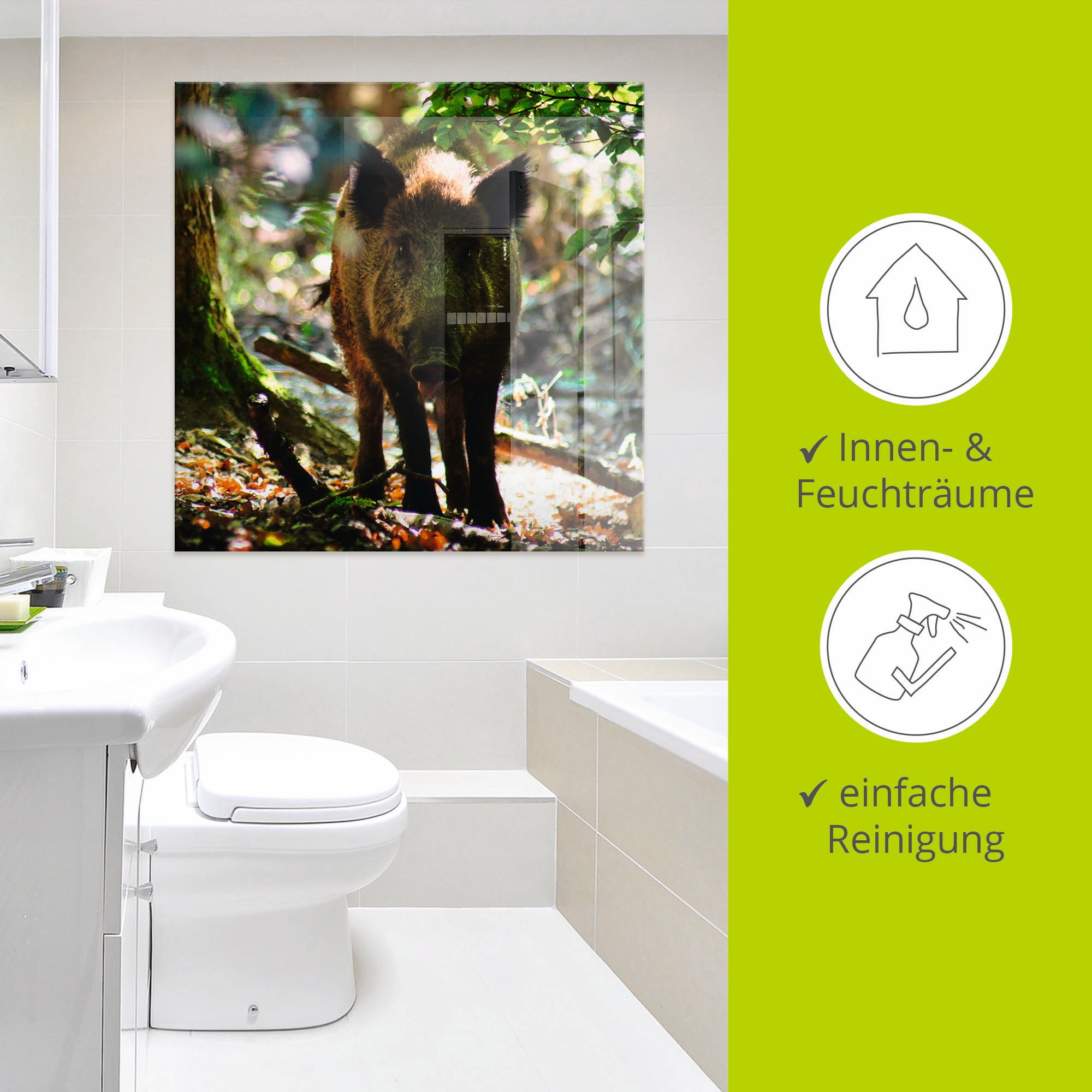 Artland Glasbild »Wildschwein«, Wildtiere, (1 St.), in verschiedenen Grössen