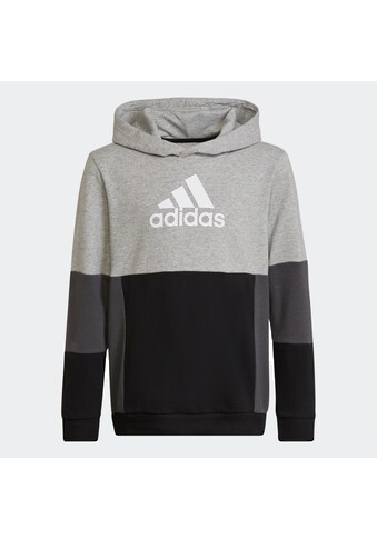 adidas Performance Sweatshirt »COLOURBLOCK HOODIE« kaufen