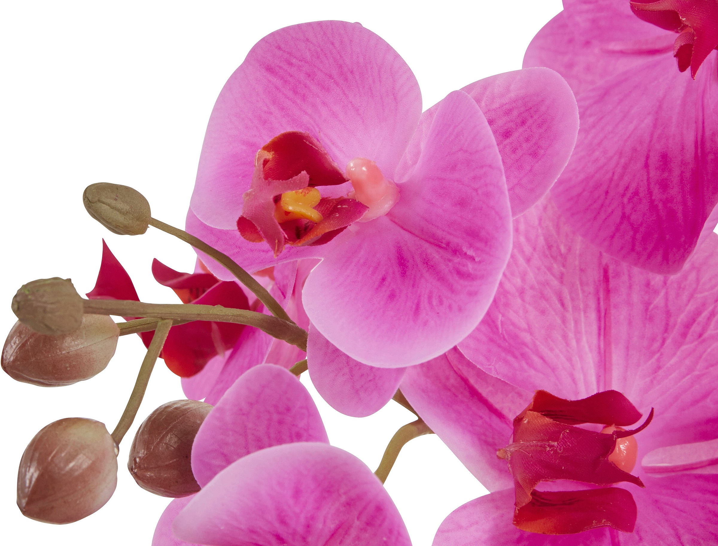 Kunstorchidee, Shop Leonique Jelmoli-Online Kunstpflanze bestellen ❤ im »Orchidee«, im Topf