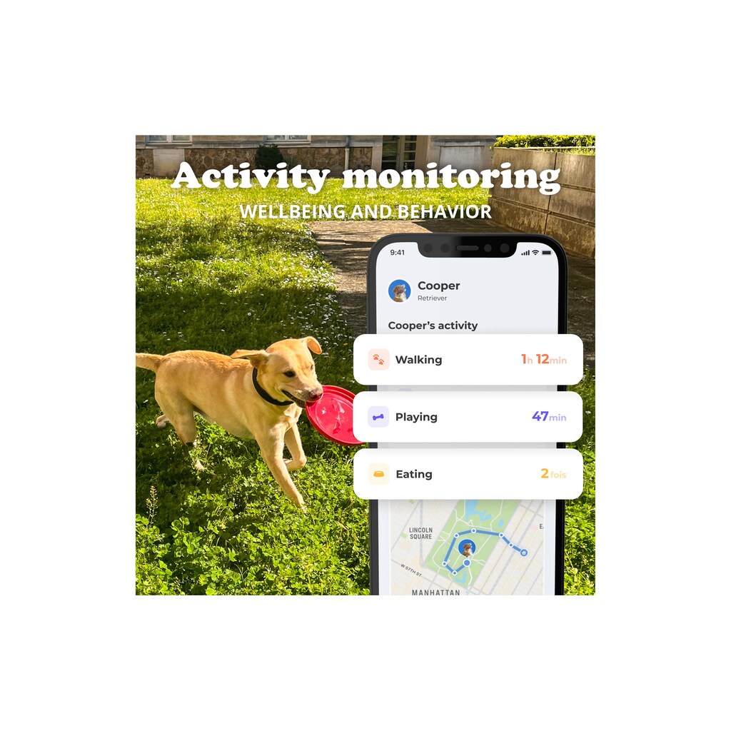 GPS-Tracker »Invoxia Smart Dog Collar S, Midnight Black«