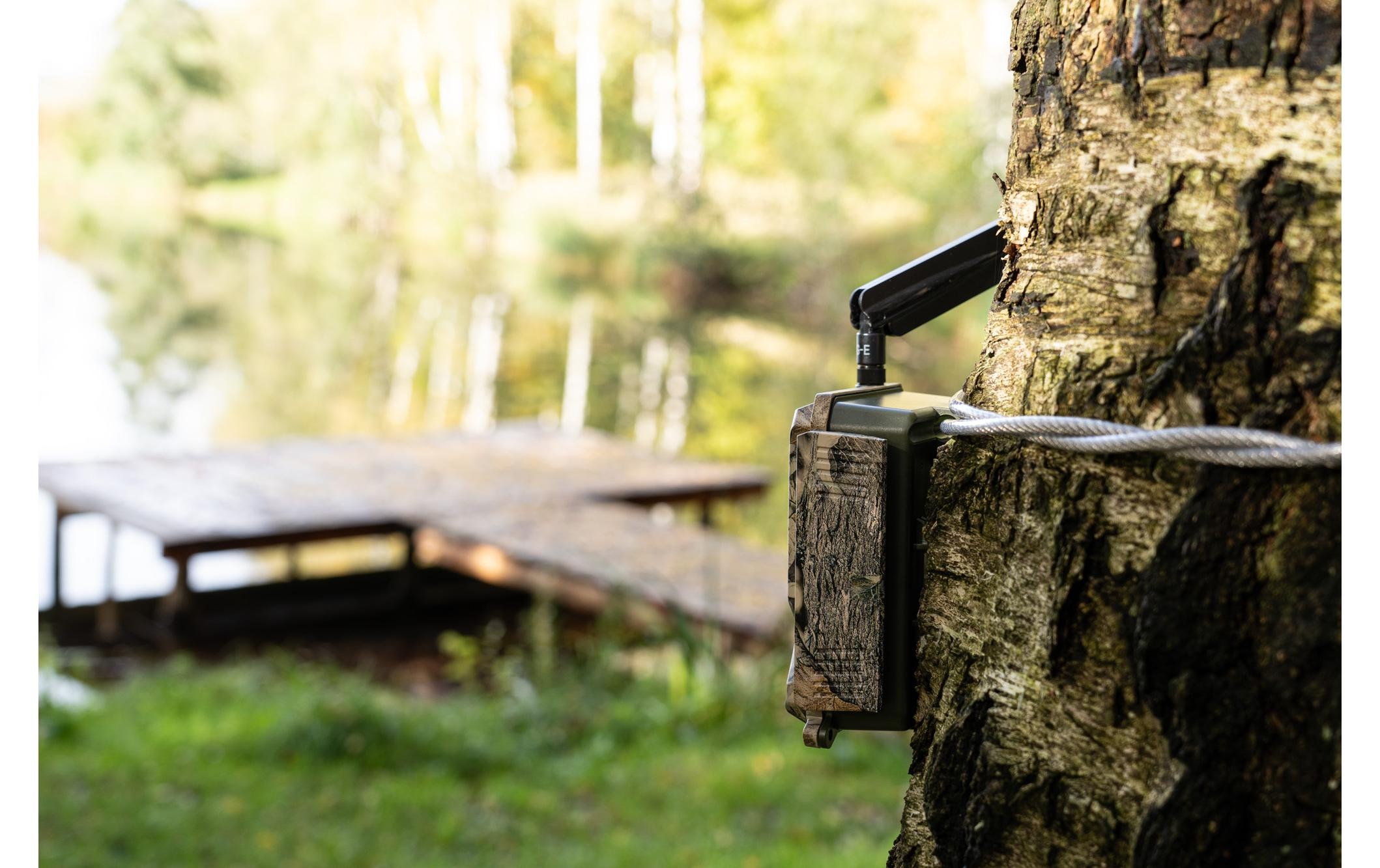 Wildkamera »Dörr Wildkamera SnapShot Cloud Pro 4G«, Aussenbereich