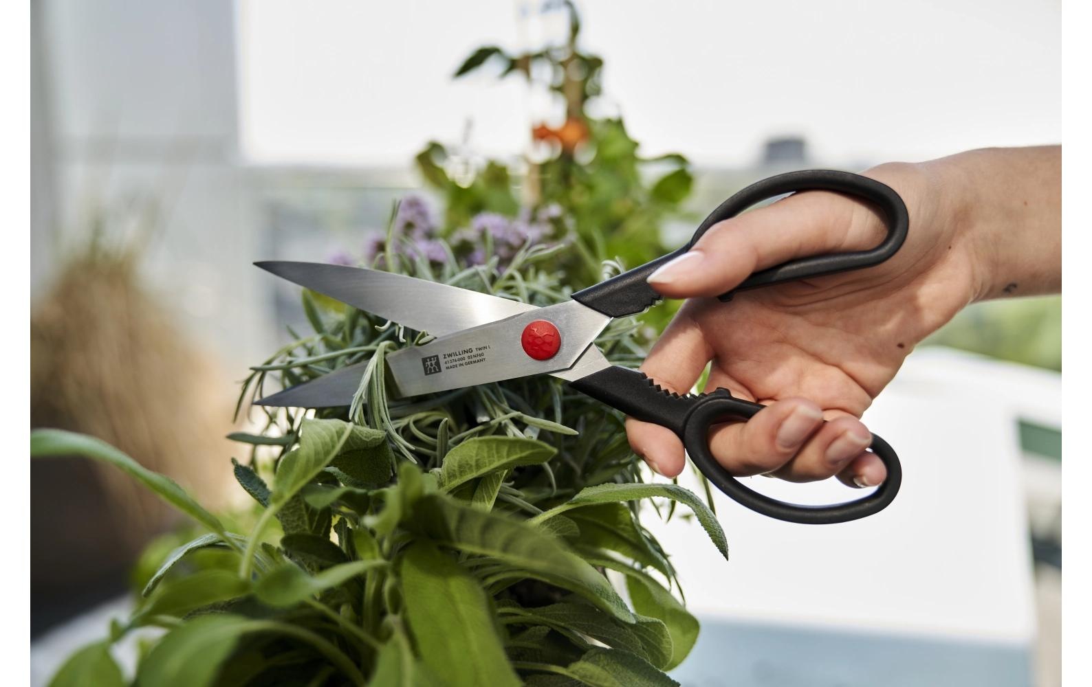 Zwilling Haushaltsschere »Twin L 23 cm«
