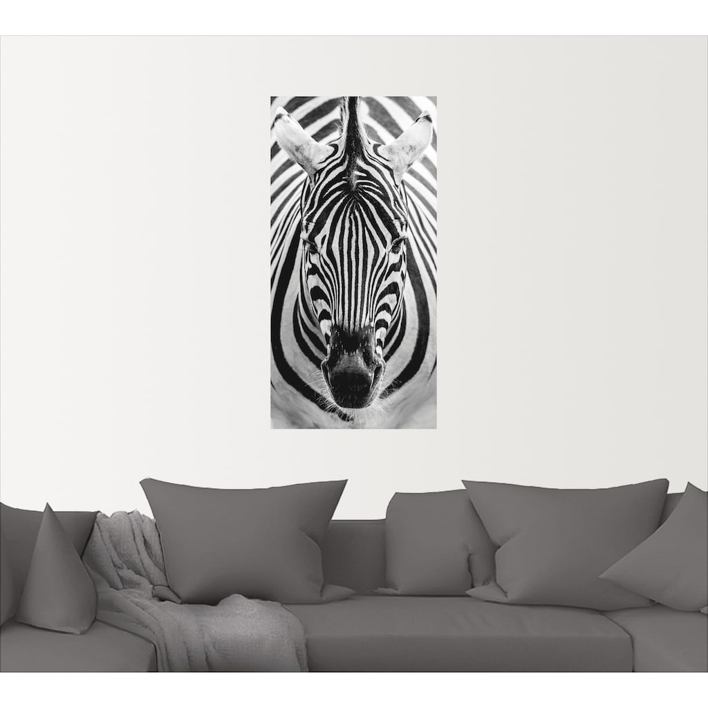 Artland Wandbild »Zebra«, Wildtiere, (1 St.)